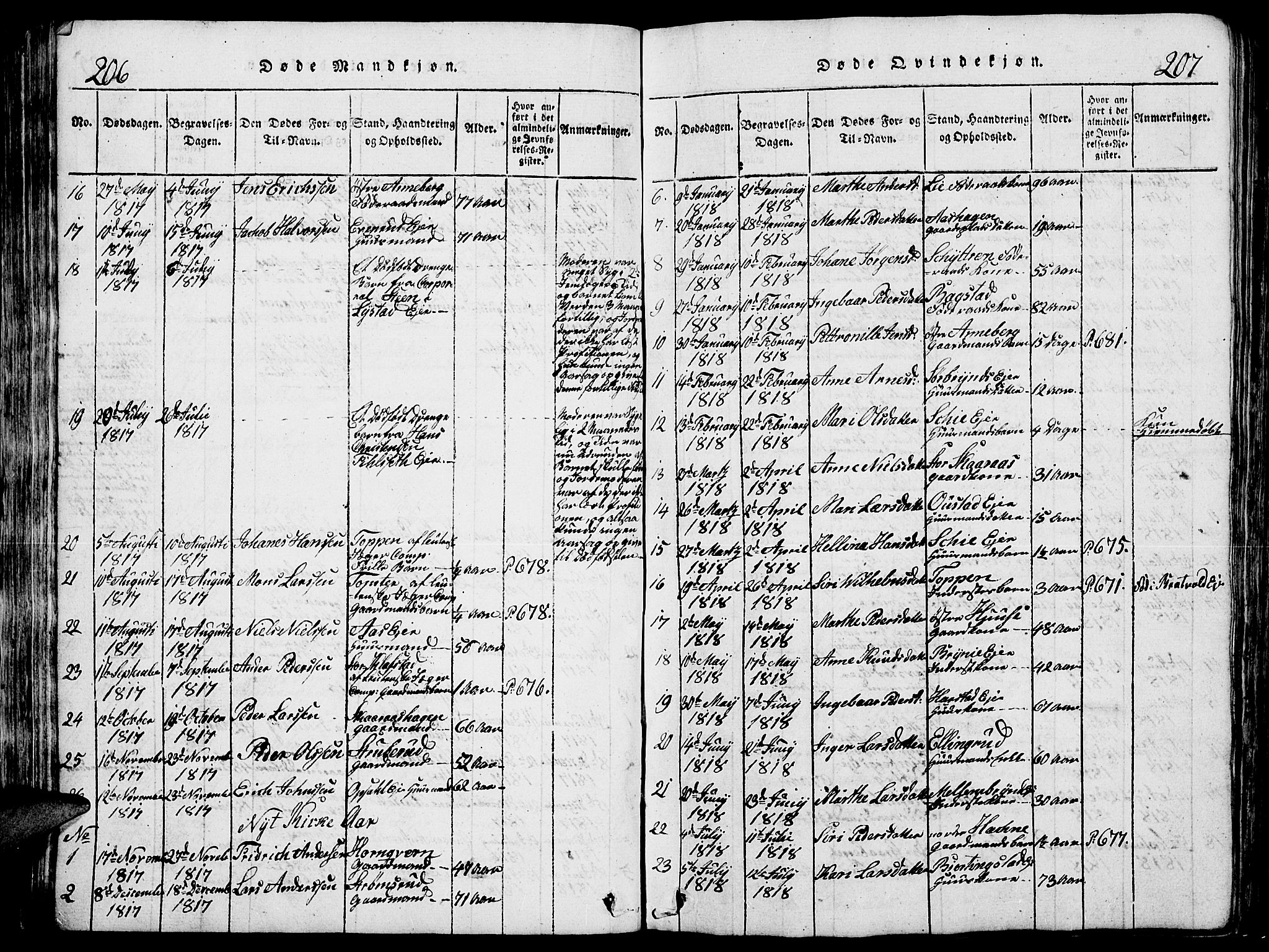 Romedal prestekontor, SAH/PREST-004/L/L0005: Parish register (copy) no. 5, 1814-1829, p. 206-207