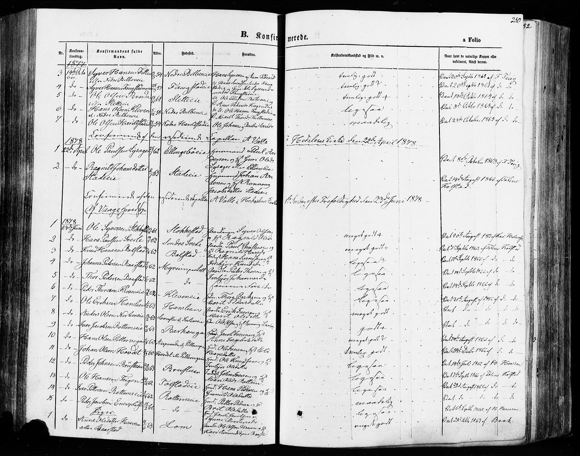 Vågå prestekontor, AV/SAH-PREST-076/H/Ha/Haa/L0007: Parish register (official) no. 7 /1, 1872-1886, p. 250
