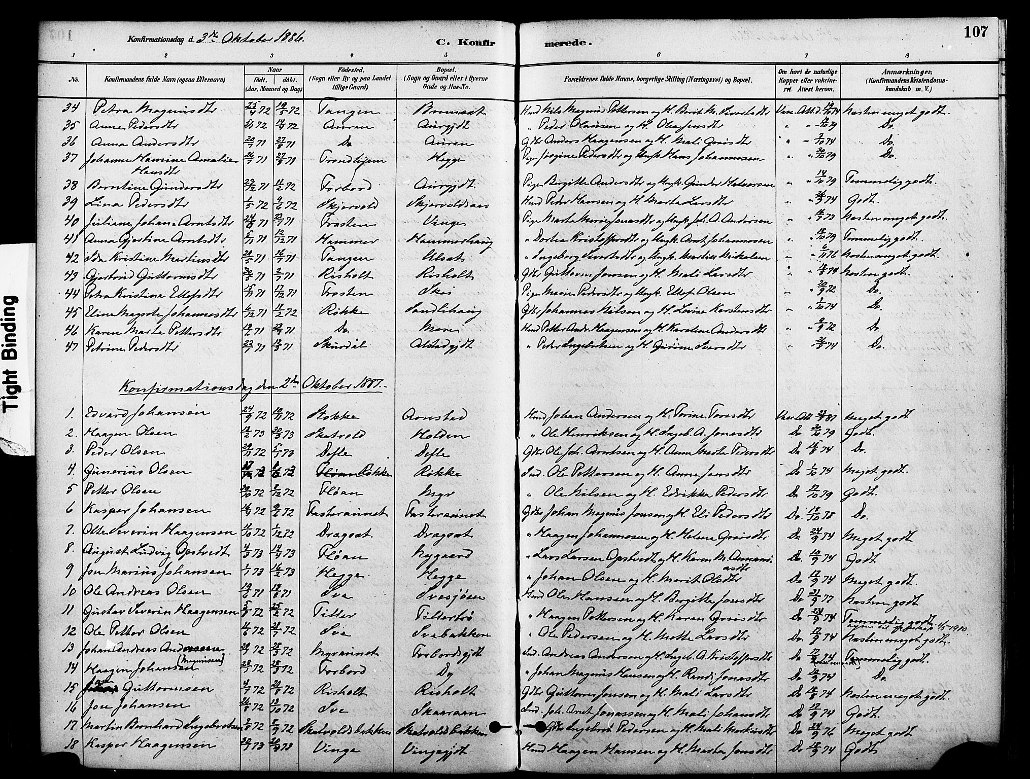 Ministerialprotokoller, klokkerbøker og fødselsregistre - Nord-Trøndelag, SAT/A-1458/712/L0100: Parish register (official) no. 712A01, 1880-1900, p. 107