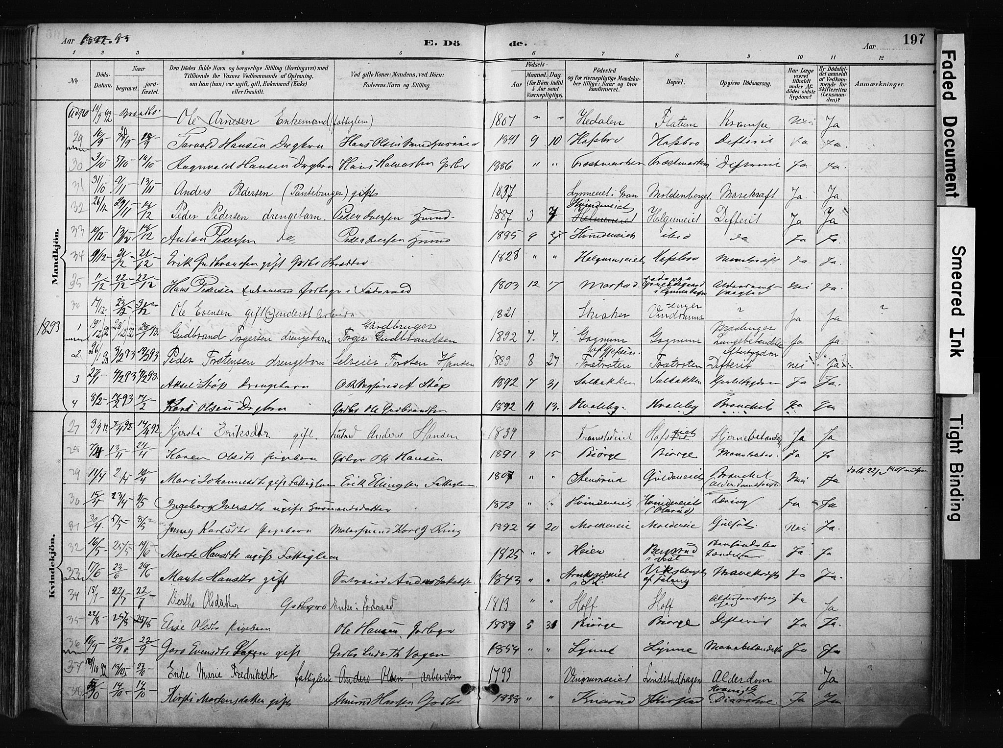 Gran prestekontor, SAH/PREST-112/H/Ha/Haa/L0017: Parish register (official) no. 17, 1889-1897, p. 197