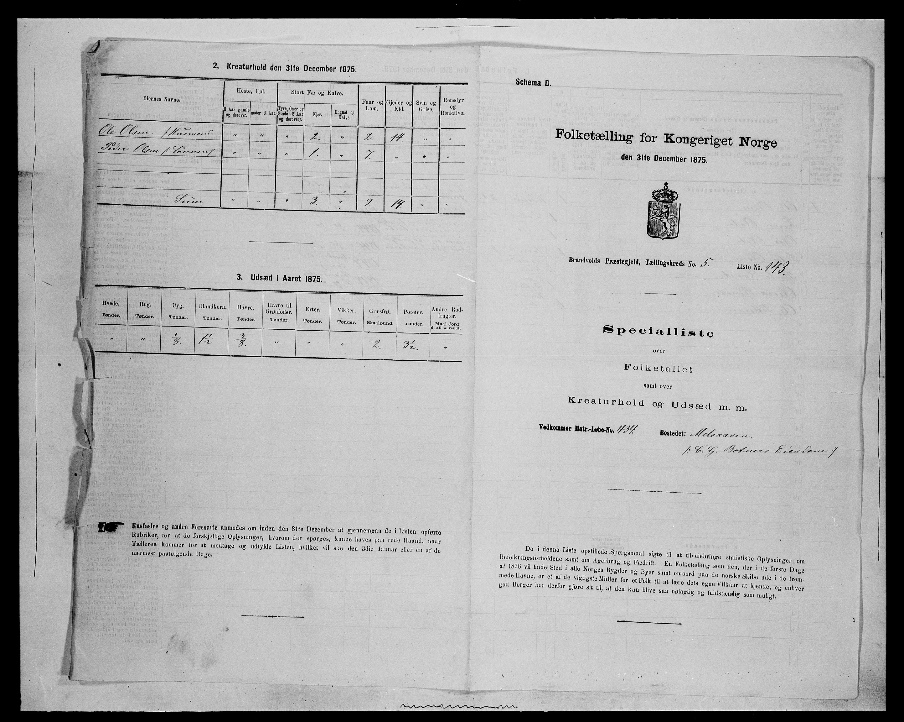 SAH, 1875 census for 0422P Brandval, 1875, p. 1009