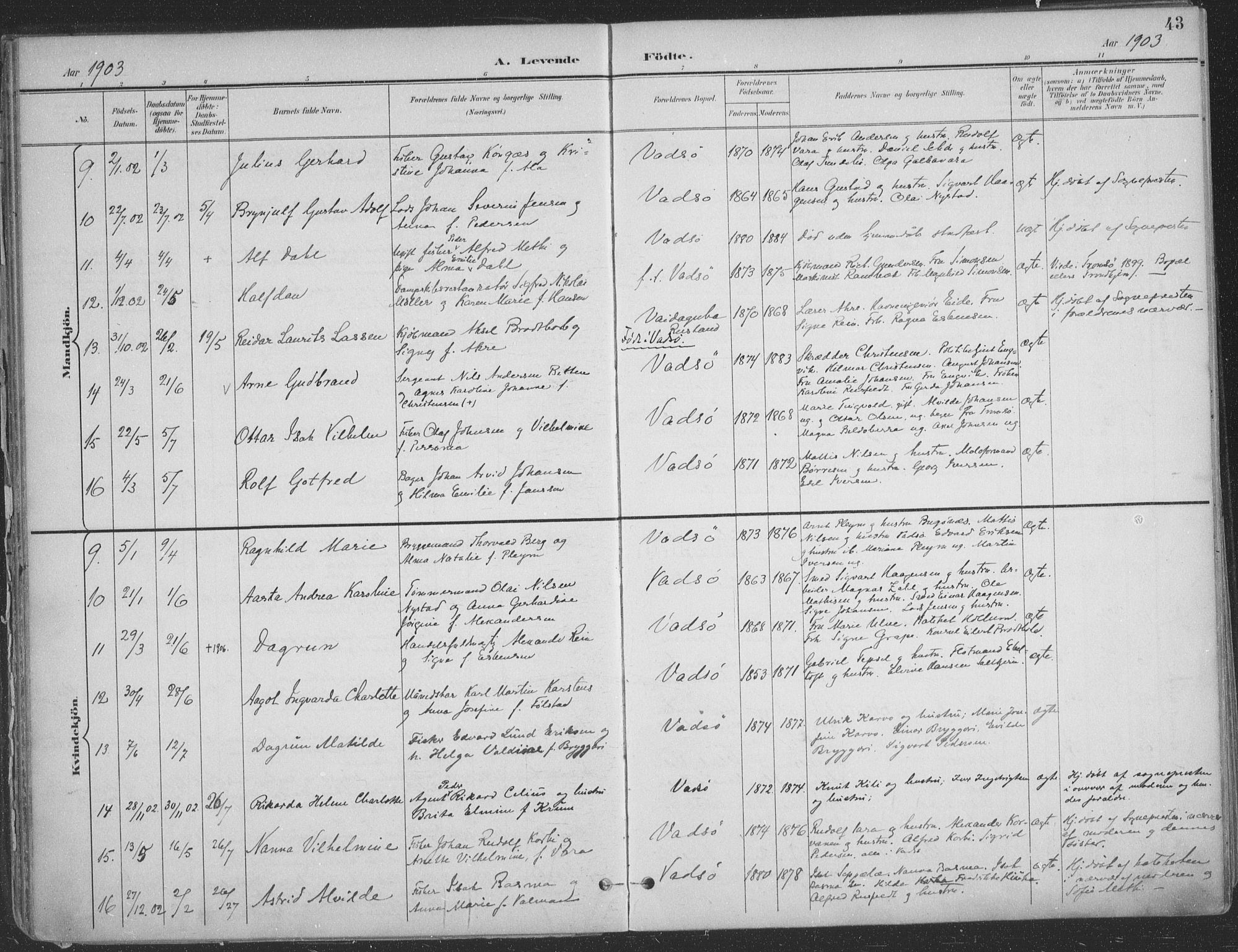 Vadsø sokneprestkontor, SATØ/S-1325/H/Ha/L0007kirke: Parish register (official) no. 7, 1896-1916, p. 43