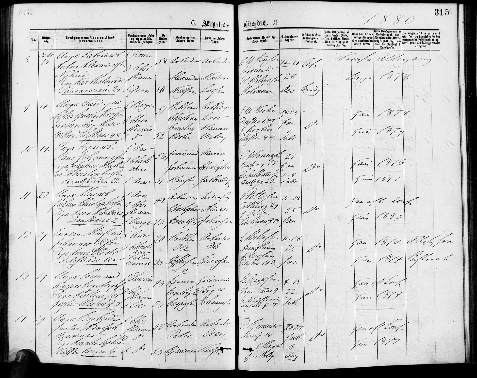 Gamle Aker prestekontor Kirkebøker, SAO/A-10617a/F/L0005: Parish register (official) no. 5, 1873-1881, p. 315