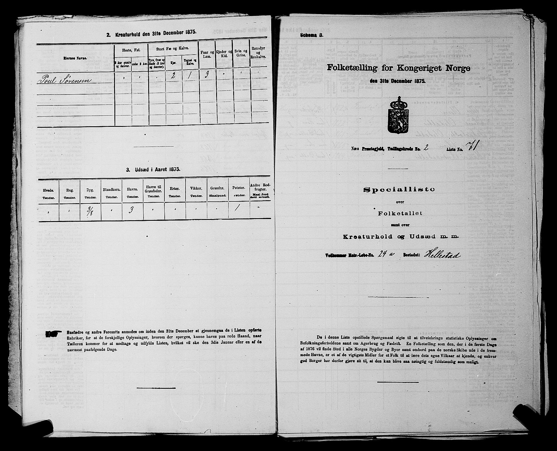 RA, 1875 census for 0236P Nes, 1875, p. 181