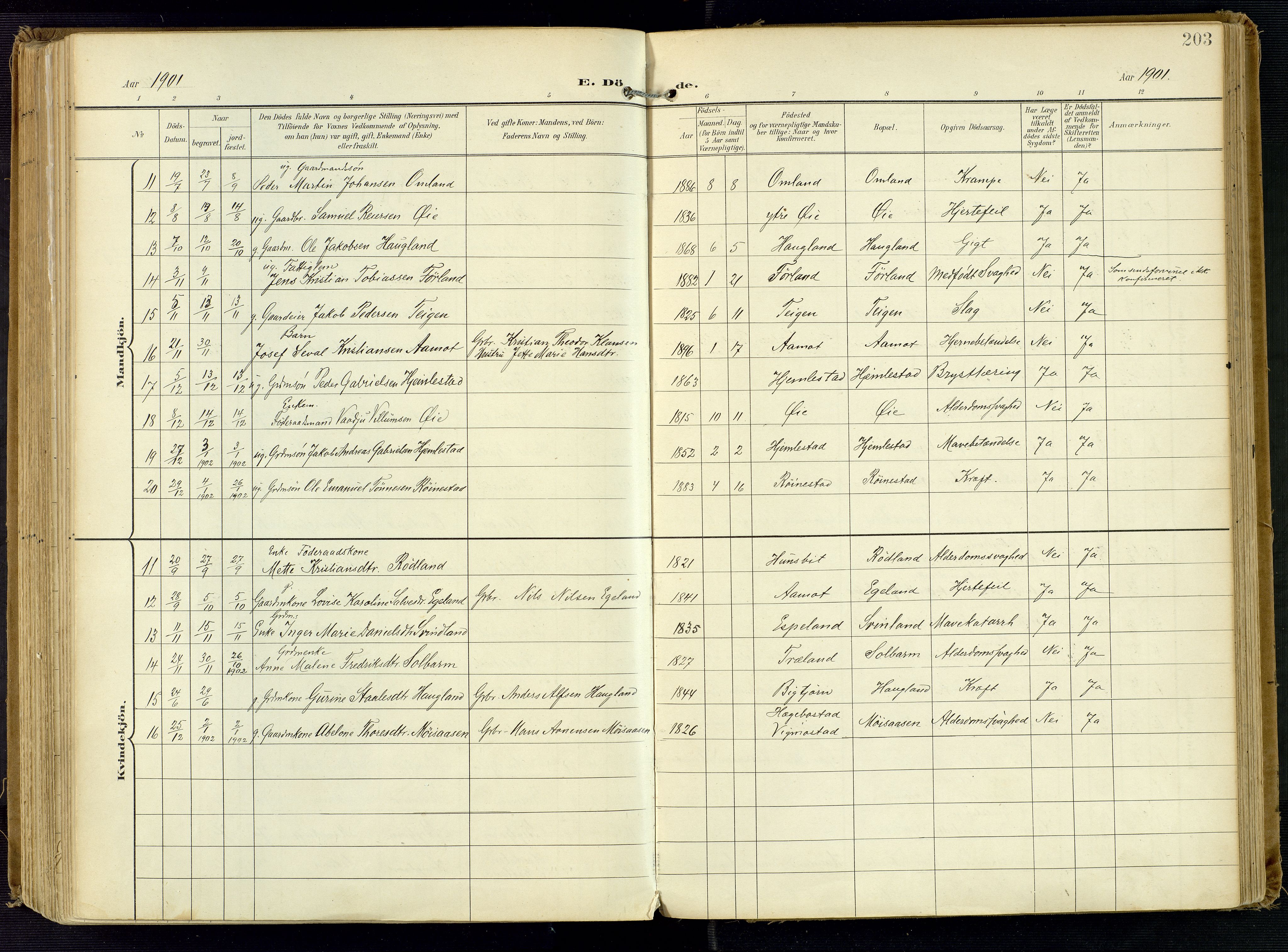 Kvinesdal sokneprestkontor, AV/SAK-1111-0026/F/Fa/Fab/L0009: Parish register (official) no. A 9, 1898-1915, p. 203