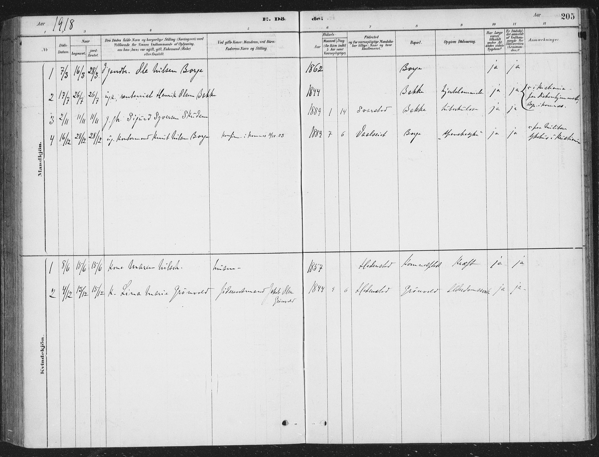 Sandsvær kirkebøker, AV/SAKO-A-244/F/Fe/L0001: Parish register (official) no. V 1, 1878-1936, p. 205