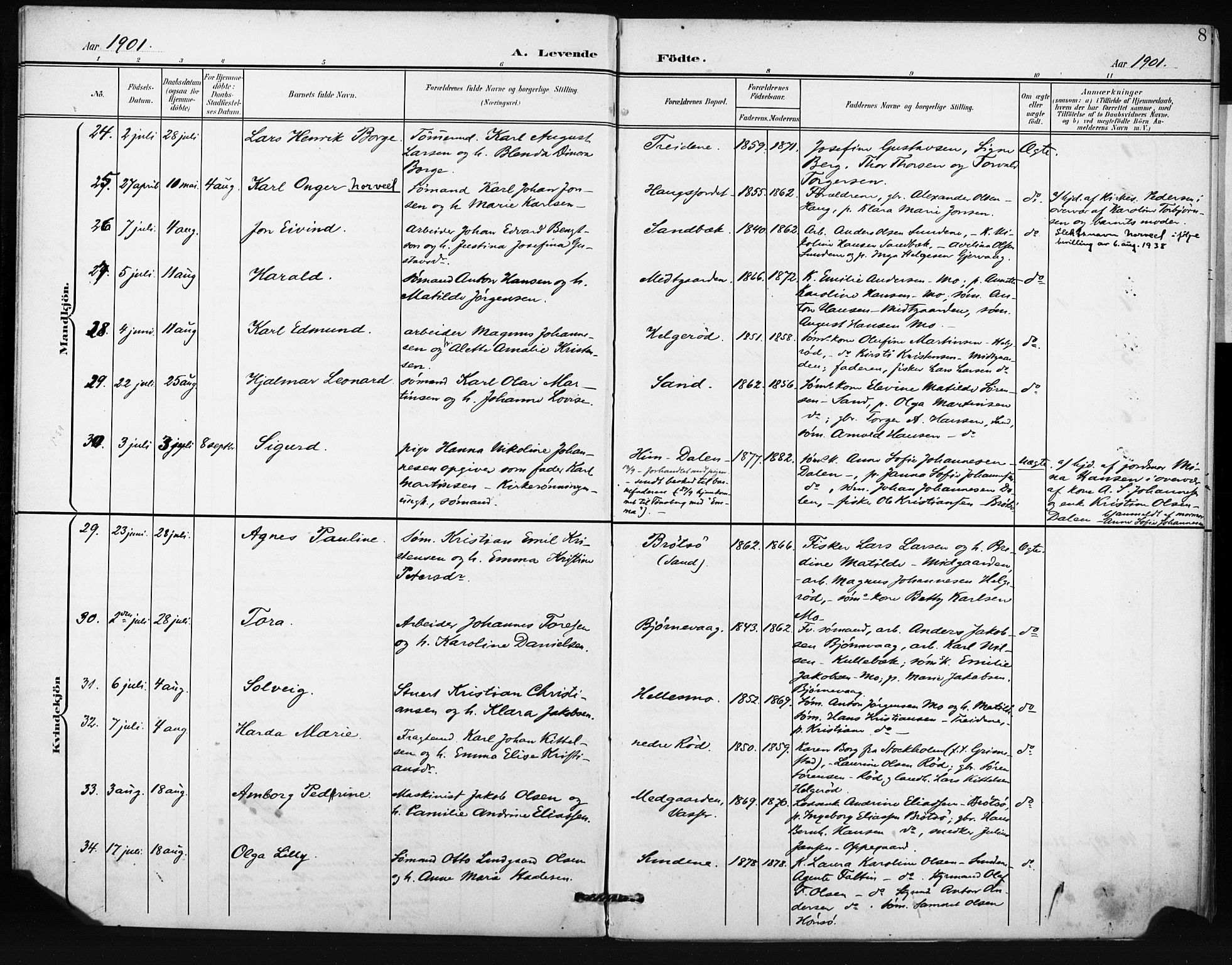 Tjøme kirkebøker, AV/SAKO-A-328/F/Fa/L0005: Parish register (official) no. I 5, 1901-1909, p. 8