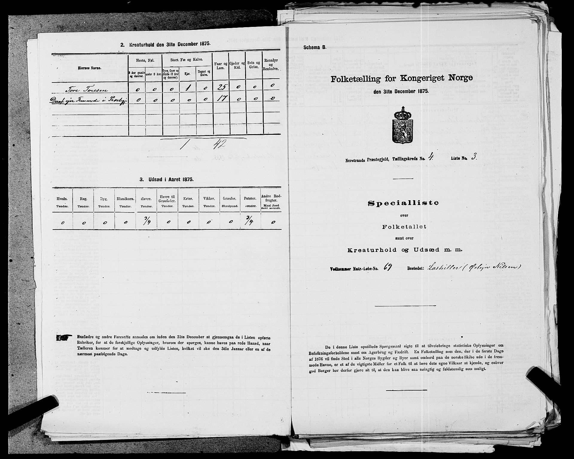 SAST, 1875 census for 1139P Nedstrand, 1875, p. 151