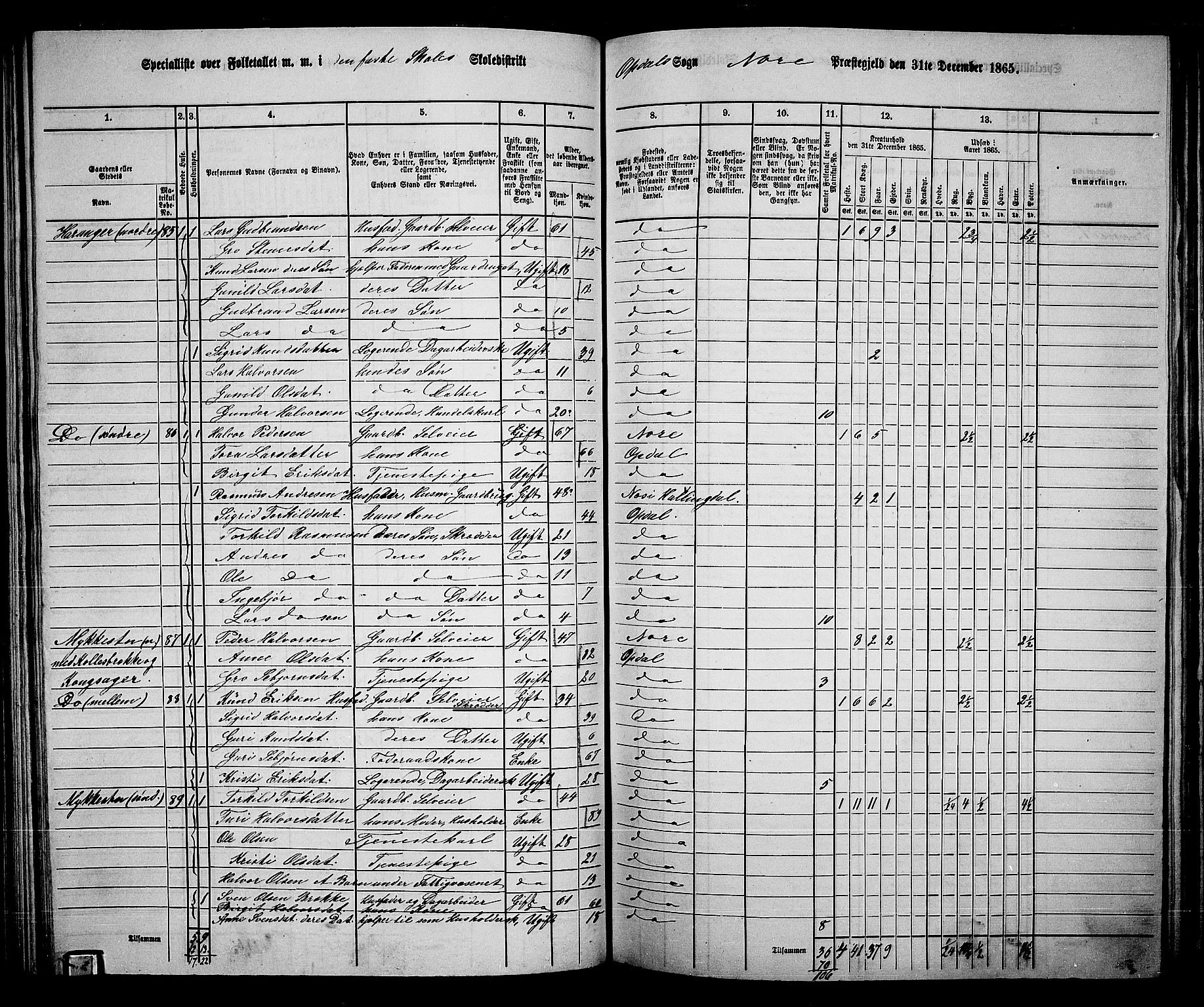 RA, 1865 census for Nore, 1865, p. 88