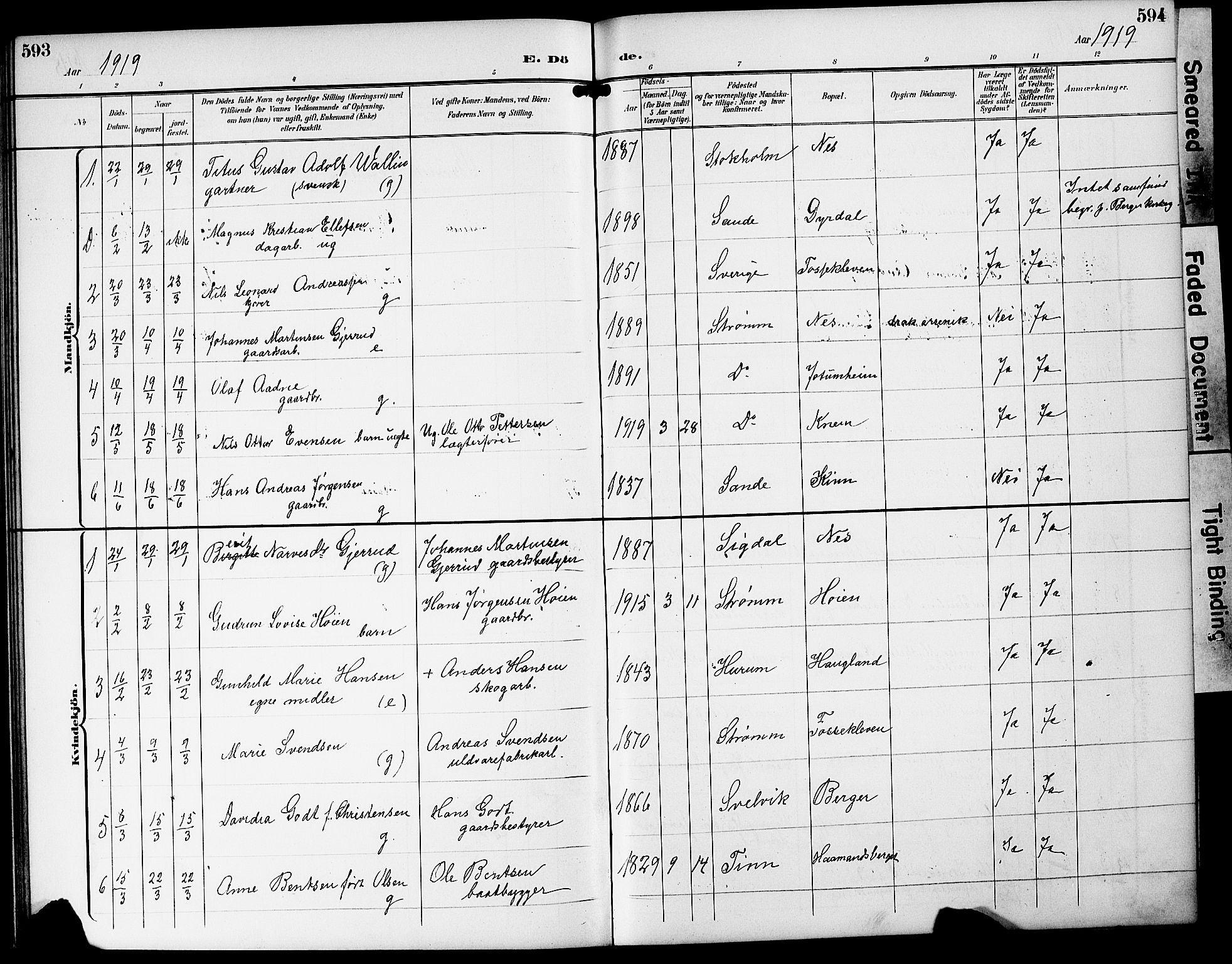 Strømm kirkebøker, AV/SAKO-A-322/G/Ga/L0004: Parish register (copy) no. I 4, 1897-1927, p. 593-594