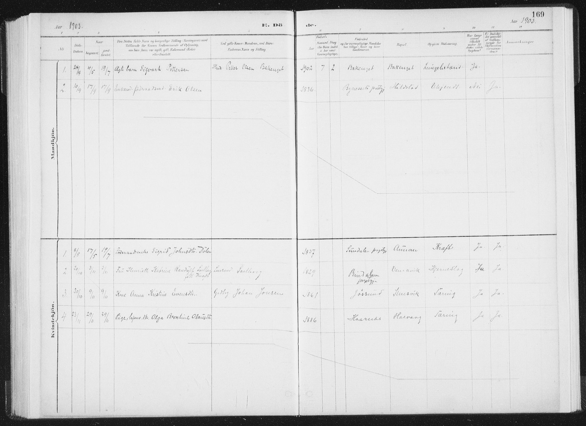 Ministerialprotokoller, klokkerbøker og fødselsregistre - Nord-Trøndelag, SAT/A-1458/771/L0597: Parish register (official) no. 771A04, 1885-1910, p. 169