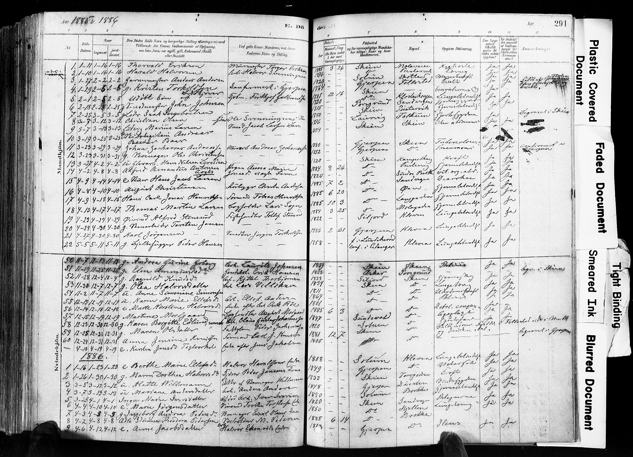 Skien kirkebøker, SAKO/A-302/F/Fa/L0009: Parish register (official) no. 9, 1878-1890, p. 291