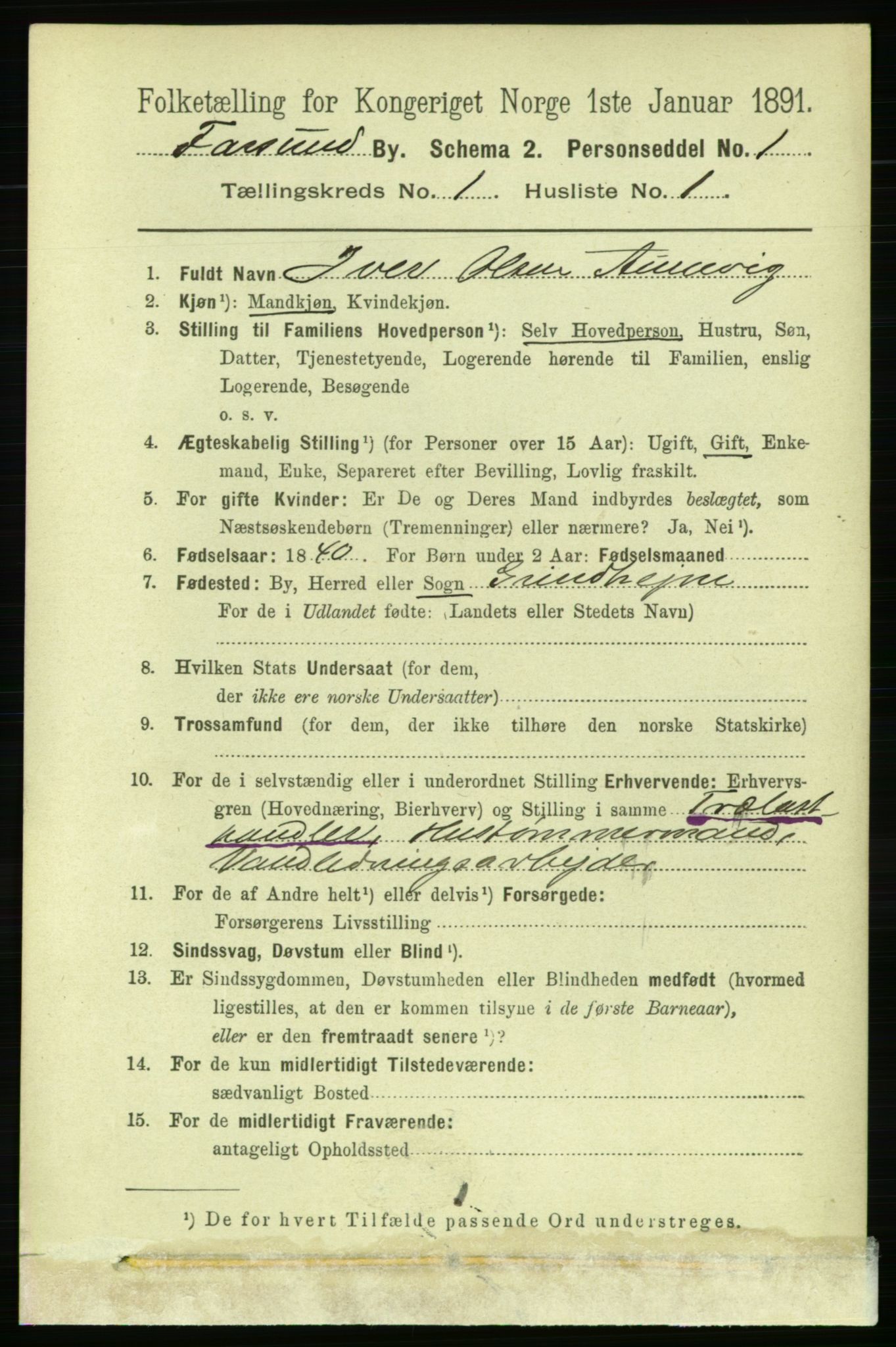 RA, 1891 census for 1003 Farsund, 1891, p. 507