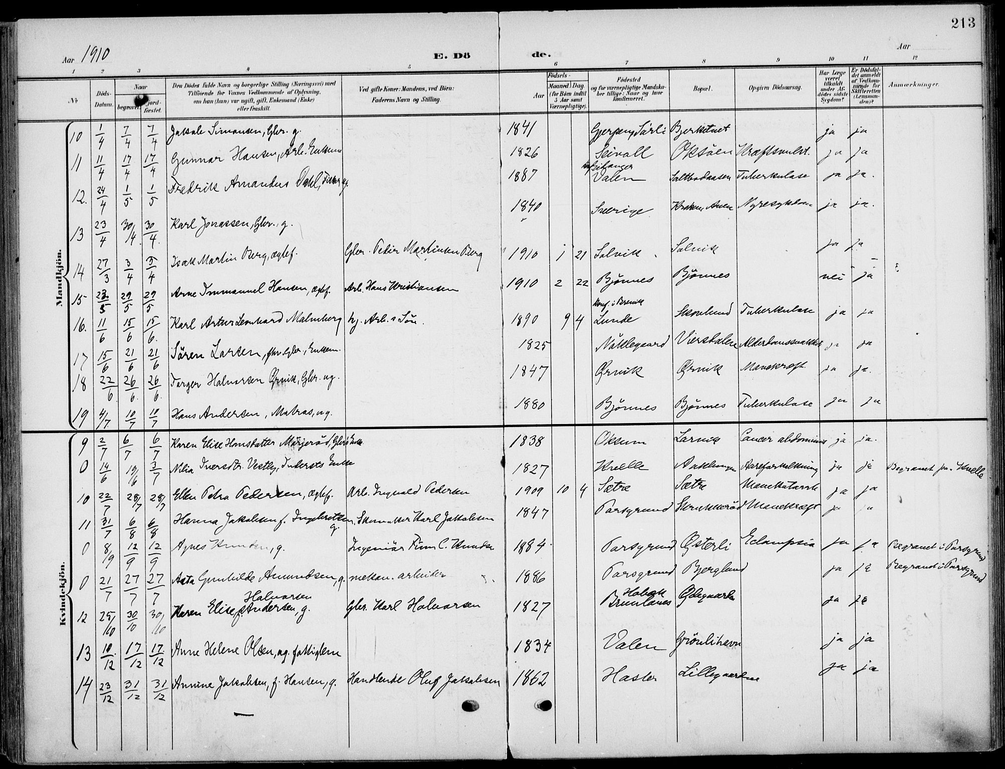 Eidanger kirkebøker, SAKO/A-261/F/Fa/L0013: Parish register (official) no. 13, 1900-1913, p. 213