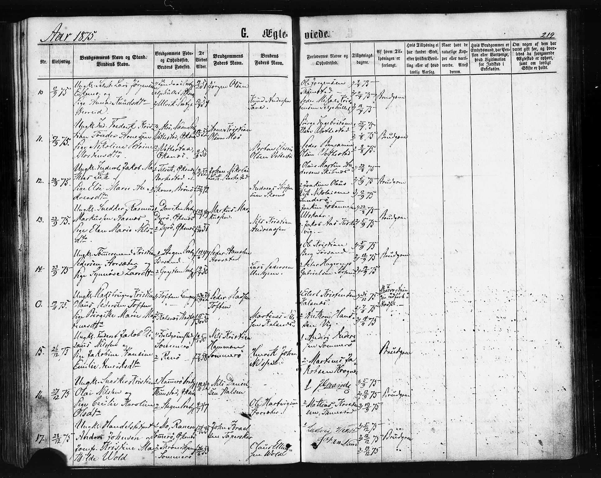 Ministerialprotokoller, klokkerbøker og fødselsregistre - Nordland, SAT/A-1459/893/L1334: Parish register (official) no. 893A07, 1867-1877, p. 219