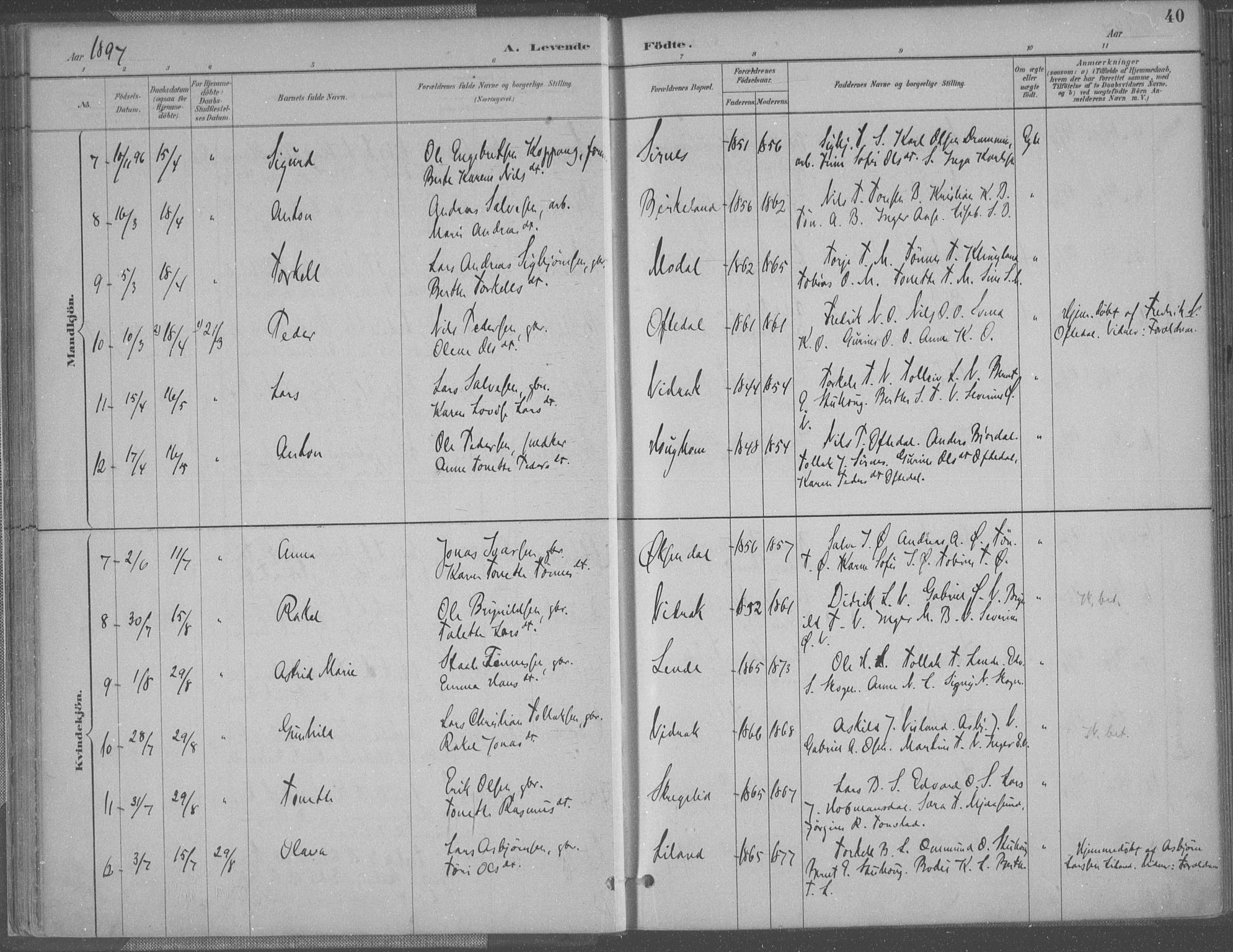 Bakke sokneprestkontor, AV/SAK-1111-0002/F/Fa/Faa/L0008: Parish register (official) no. A 8, 1887-1911, p. 40