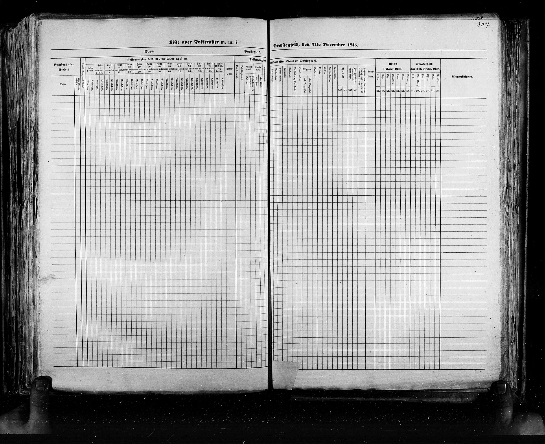 RA, Census 1845, vol. 5: Bratsberg amt og Nedenes og Råbyggelaget amt, 1845, p. 307