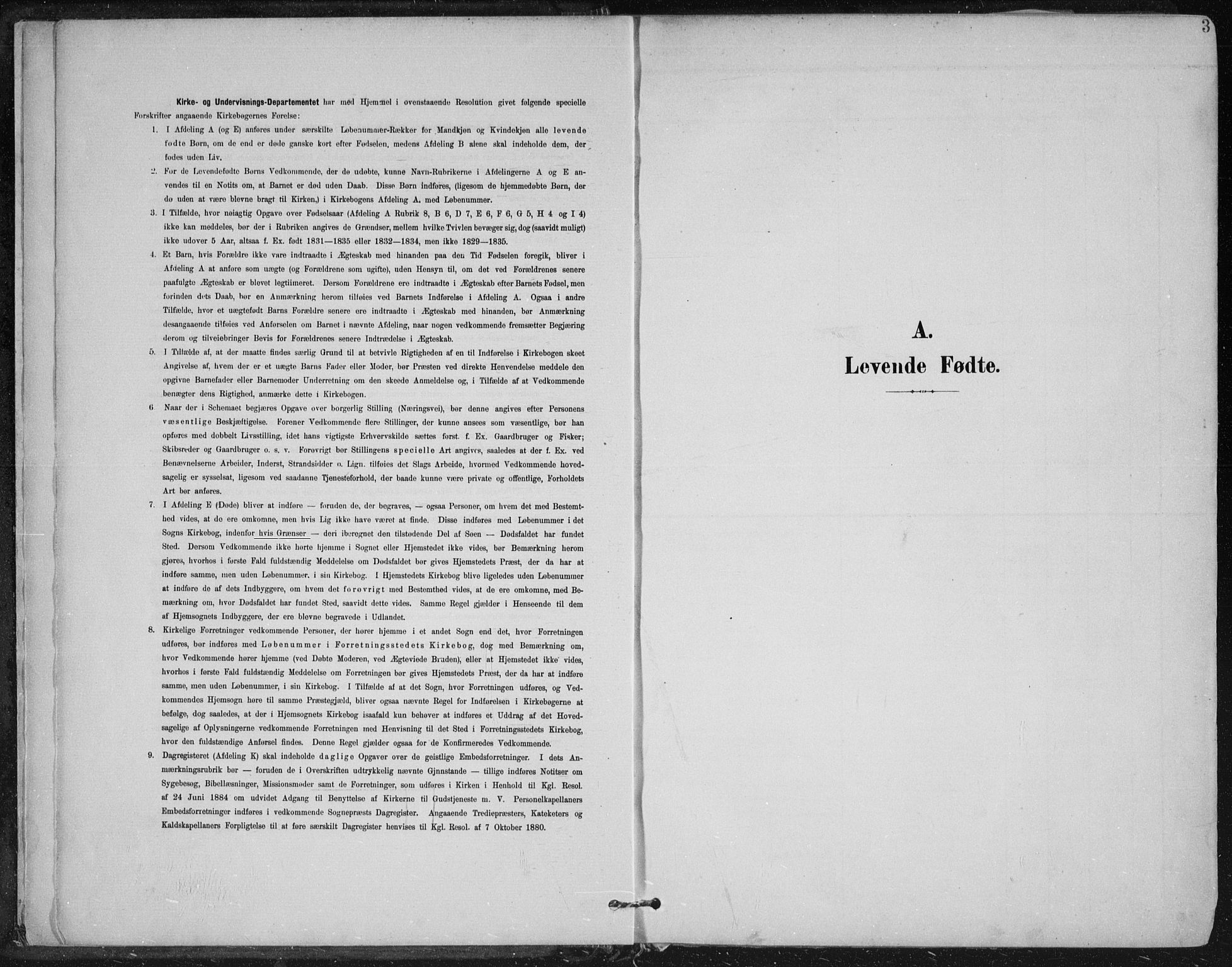 Krødsherad kirkebøker, SAKO/A-19/F/Fa/L0007: Parish register (official) no. 7, 1900-1915, p. 3