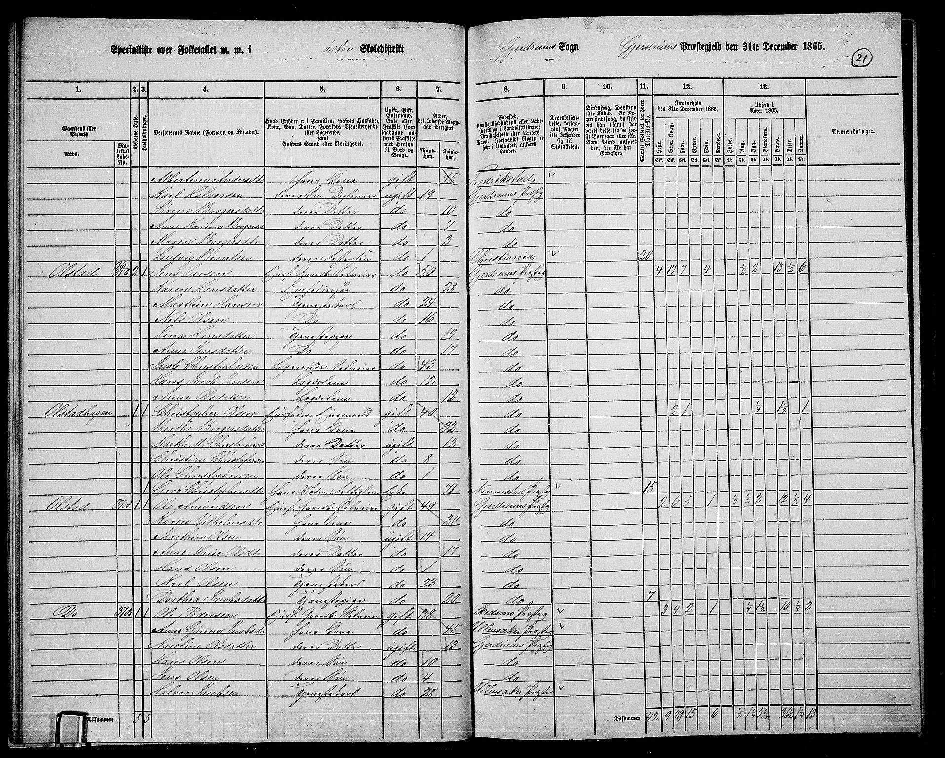 RA, 1865 census for Gjerdrum, 1865, p. 20