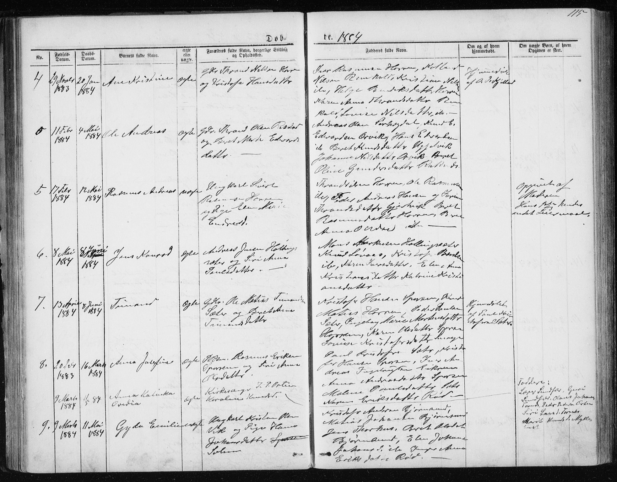 Ministerialprotokoller, klokkerbøker og fødselsregistre - Møre og Romsdal, AV/SAT-A-1454/560/L0724: Parish register (copy) no. 560C01, 1867-1892, p. 115
