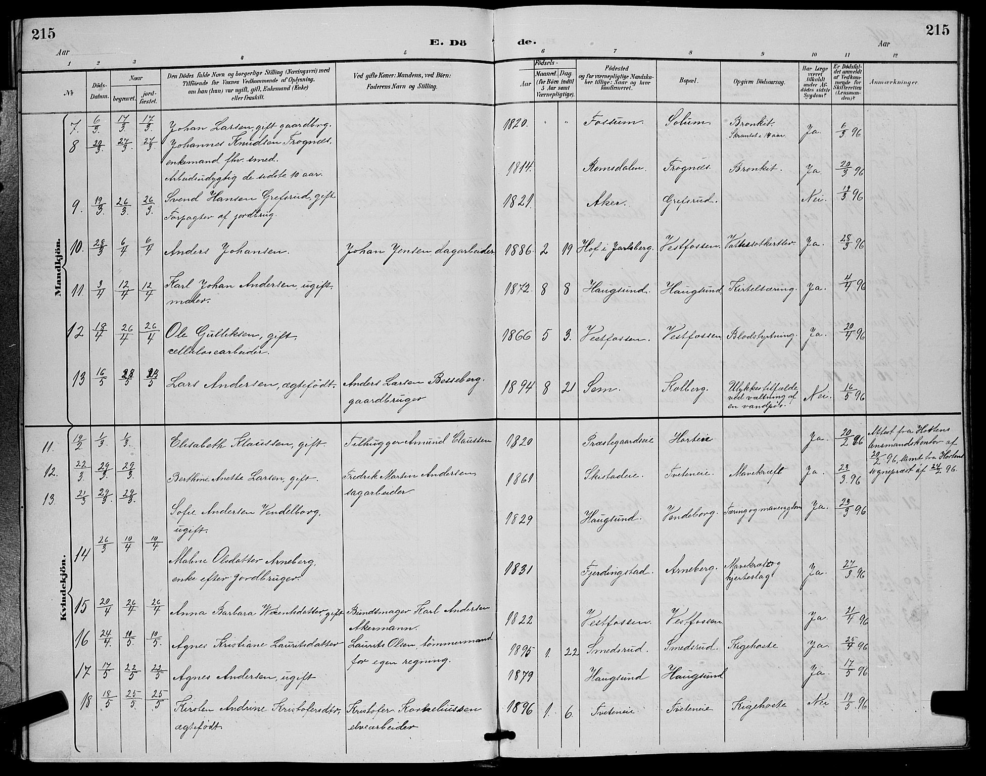 Eiker kirkebøker, SAKO/A-4/G/Ga/L0007: Parish register (copy) no. I 7, 1893-1902, p. 215