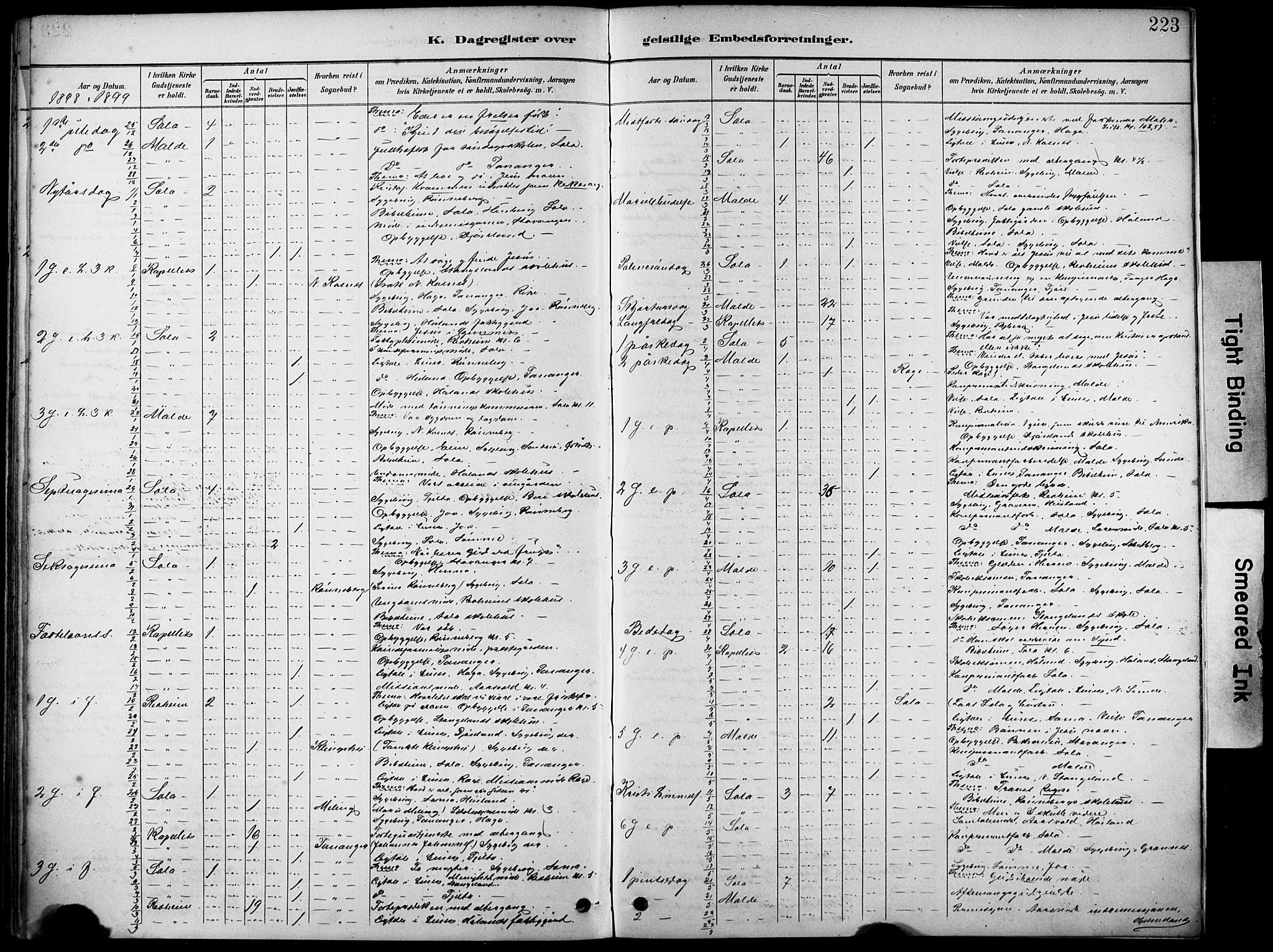 Håland sokneprestkontor, AV/SAST-A-101802/001/30BA/L0012: Parish register (official) no. A 11, 1889-1900, p. 223