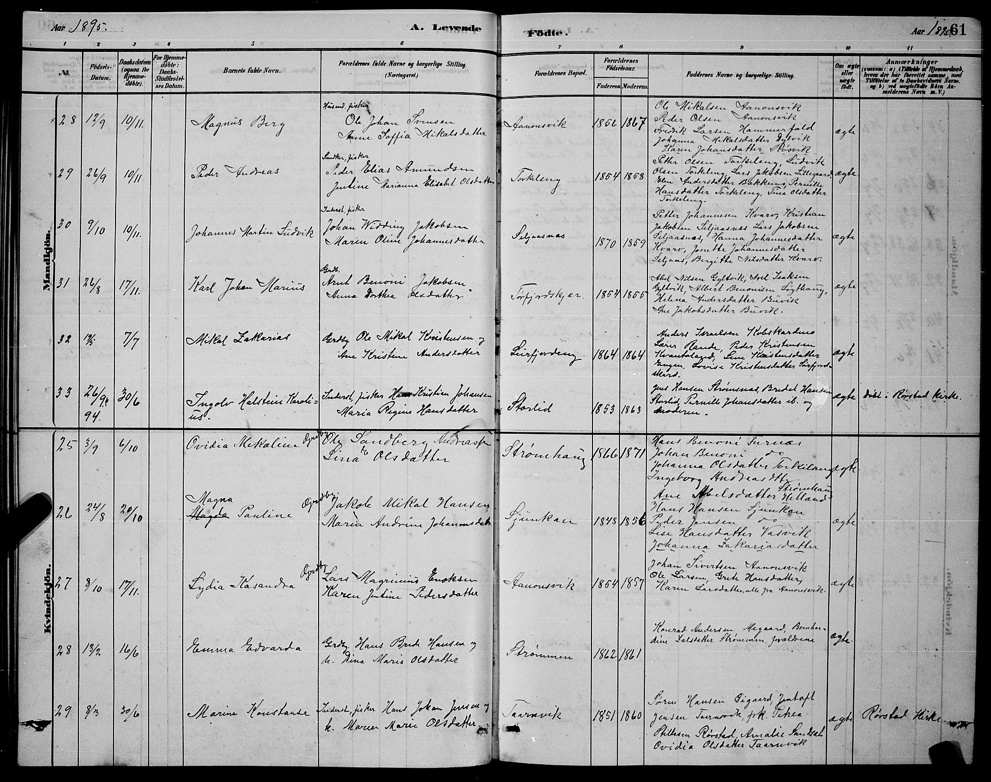 Ministerialprotokoller, klokkerbøker og fødselsregistre - Nordland, AV/SAT-A-1459/853/L0772: Parish register (official) no. 853A11, 1881-1900, p. 61