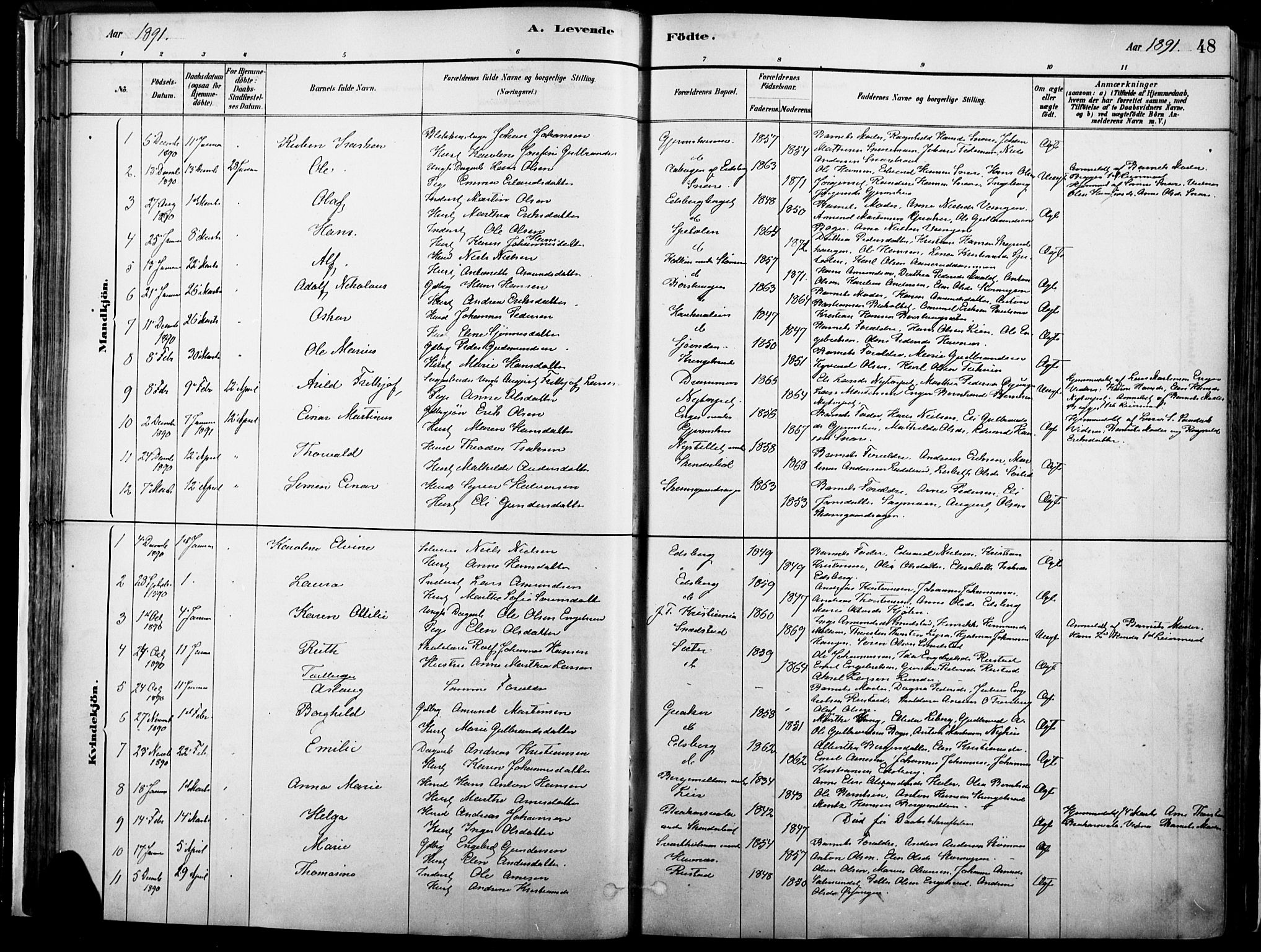 Vinger prestekontor, SAH/PREST-024/H/Ha/Haa/L0014: Parish register (official) no. 14, 1881-1900, p. 48