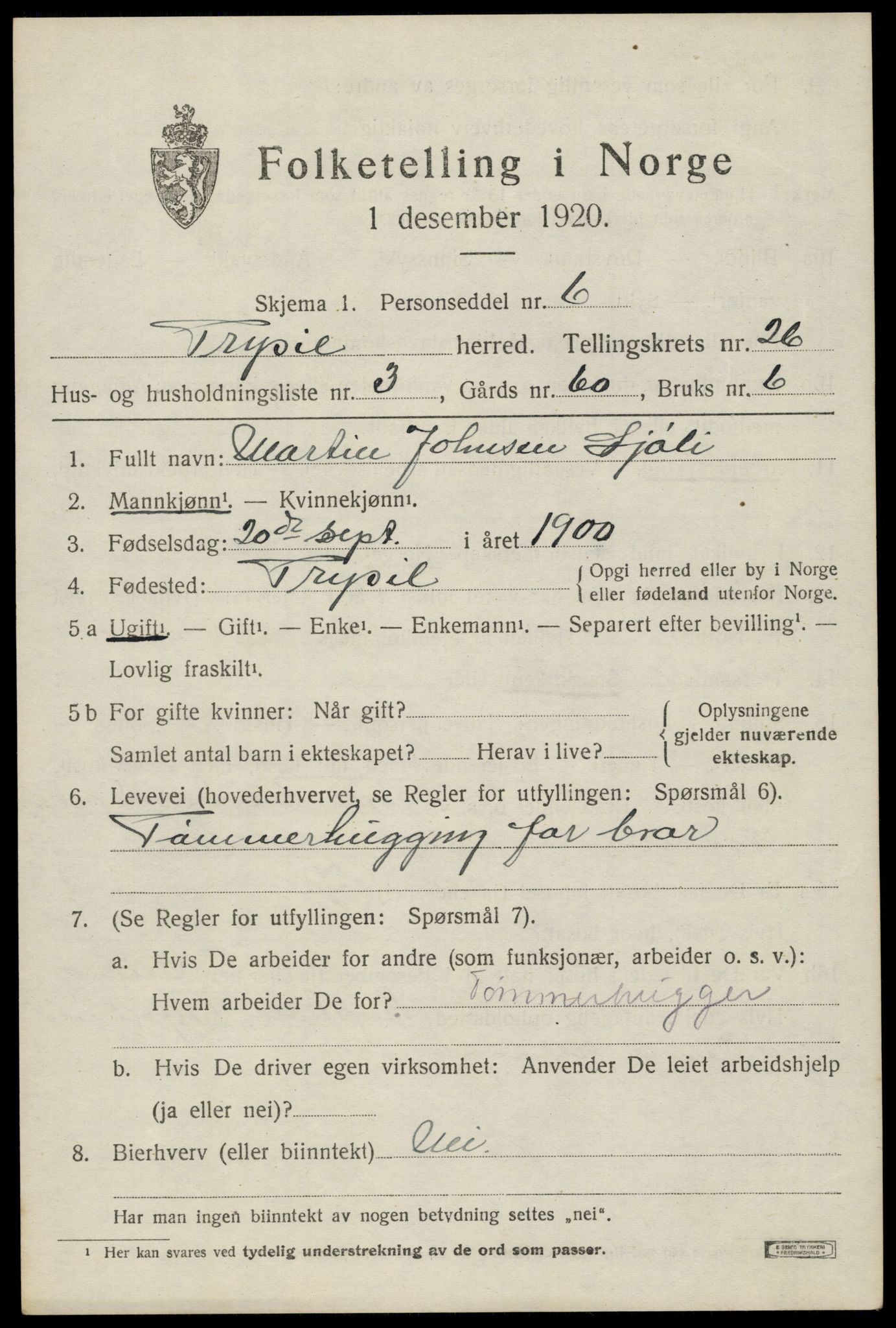 SAH, 1920 census for Trysil, 1920, p. 16153