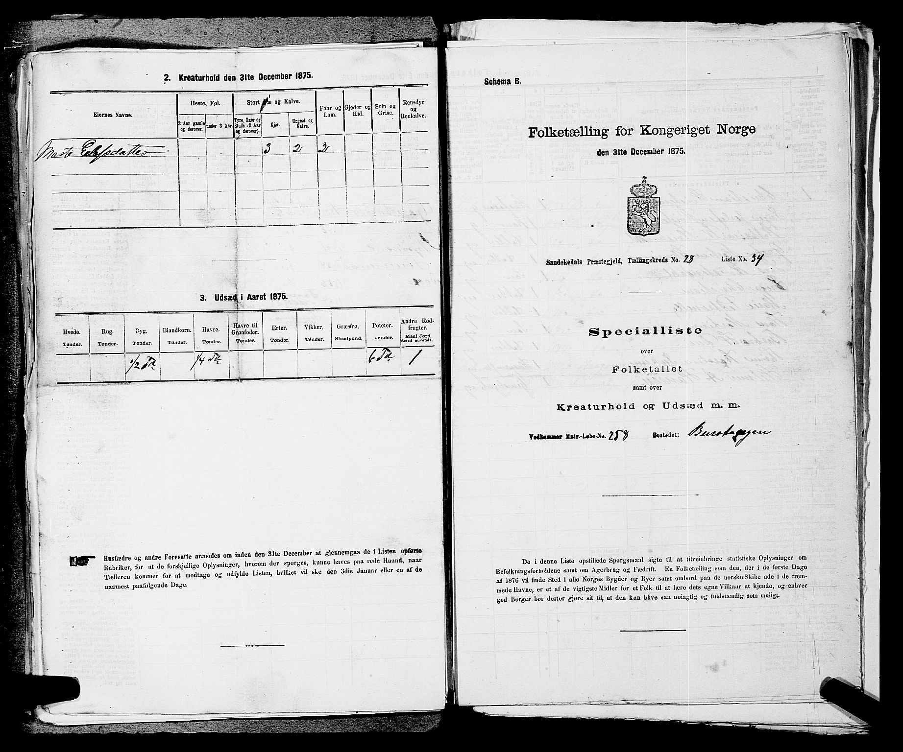 SAKO, 1875 census for 0816P Sannidal, 1875, p. 2226