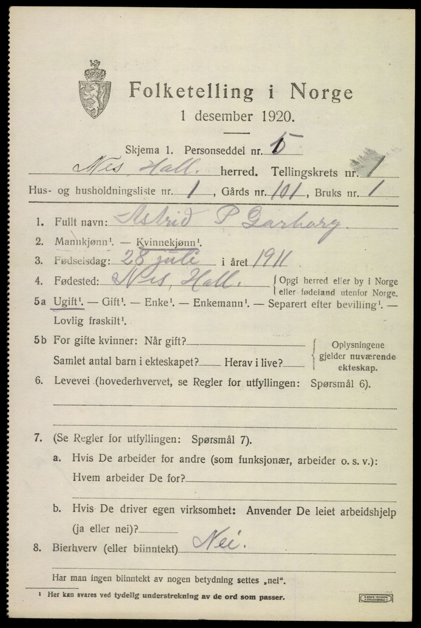 SAKO, 1920 census for Nes (Buskerud), 1920, p. 1024