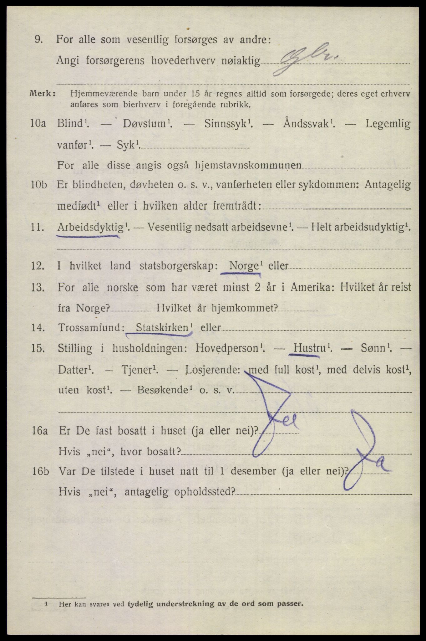 SAKO, 1920 census for Nes (Buskerud), 1920, p. 3047