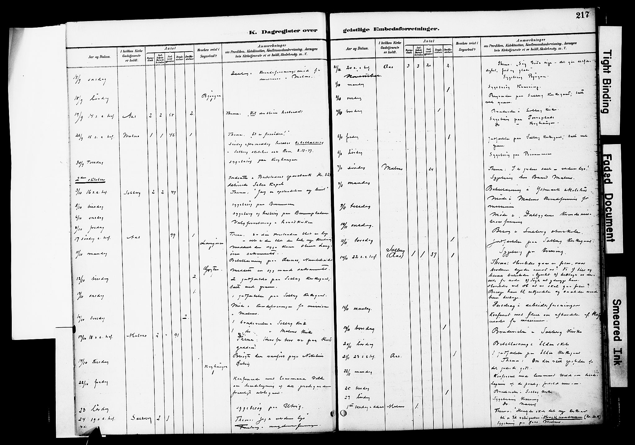 Ministerialprotokoller, klokkerbøker og fødselsregistre - Nord-Trøndelag, AV/SAT-A-1458/741/L0396: Parish register (official) no. 741A10, 1889-1901, p. 217