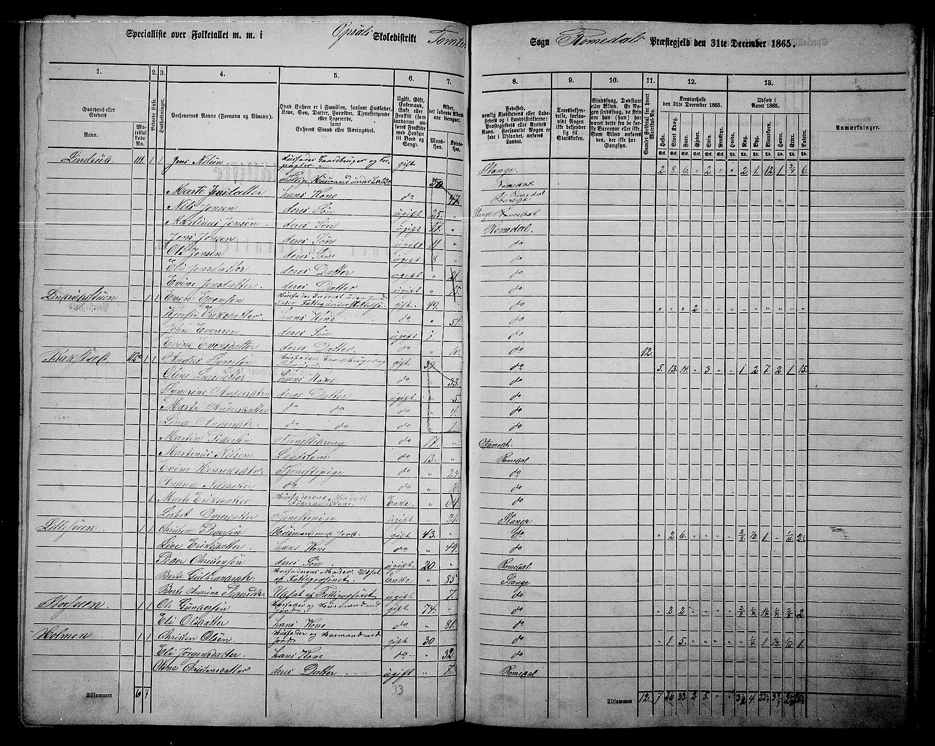 RA, 1865 census for Romedal, 1865, p. 188