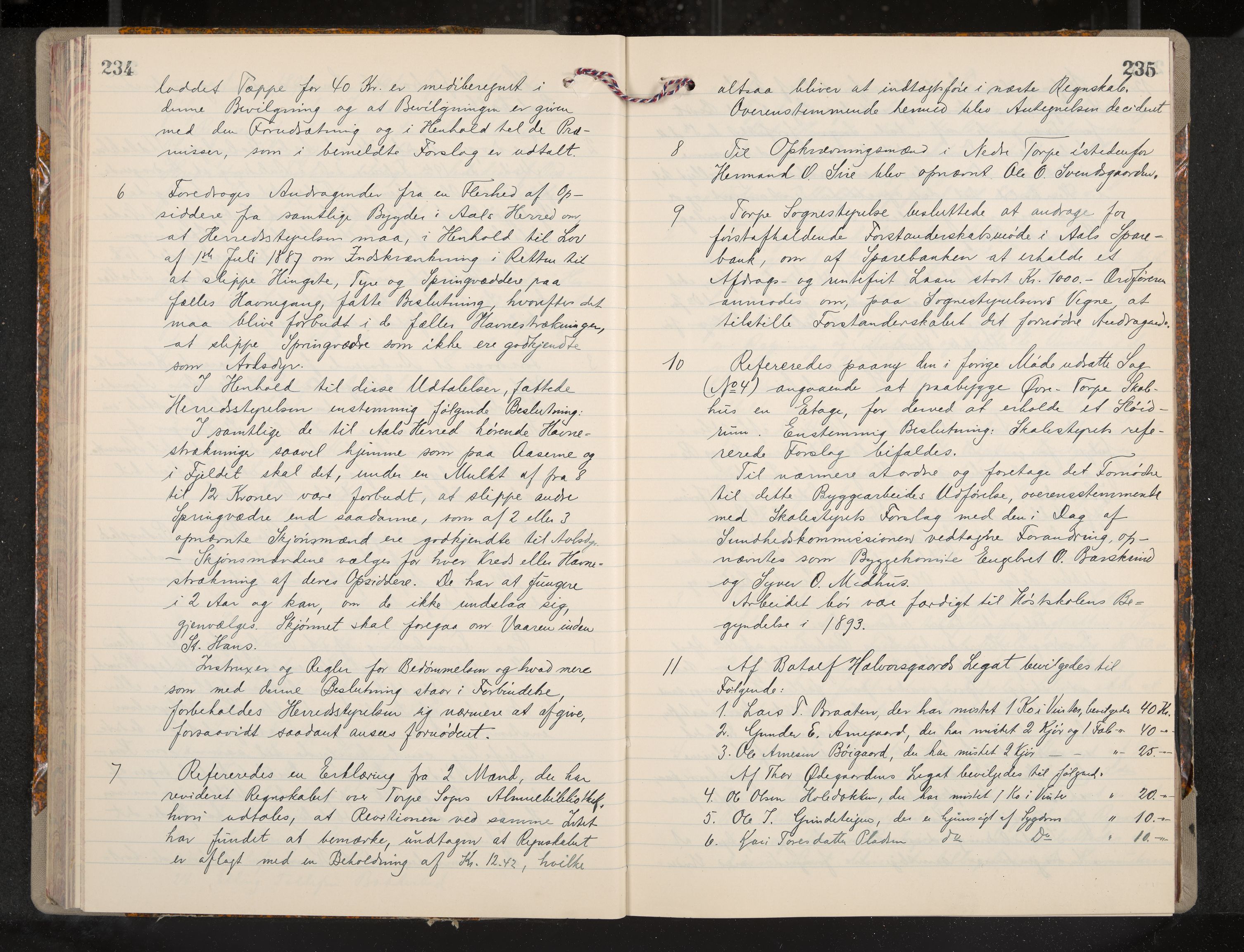 Ål formannskap og sentraladministrasjon, IKAK/0619021/A/Aa/L0004: Utskrift av møtebok, 1881-1901, p. 234-235