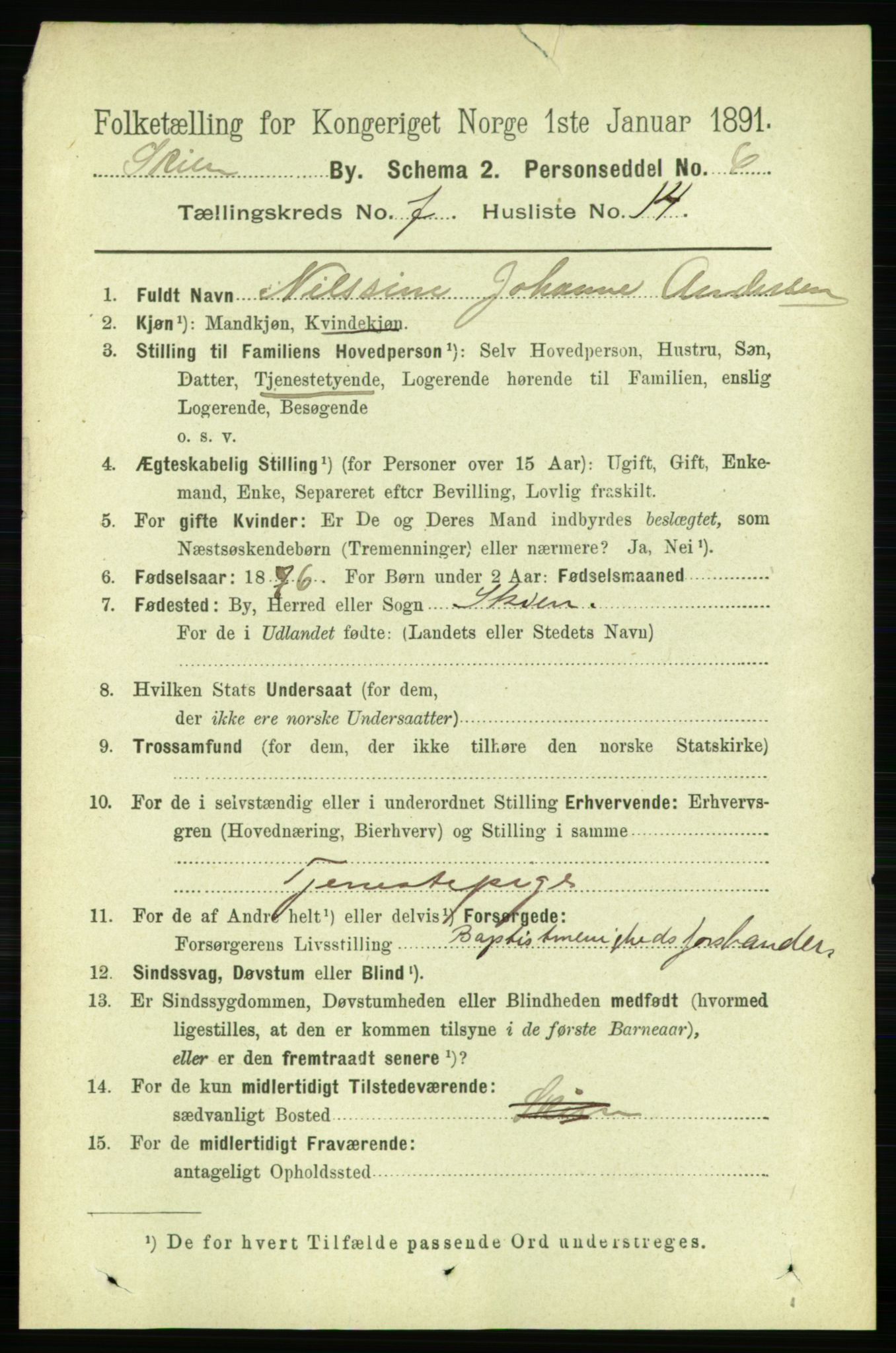 RA, 1891 census for 0806 Skien, 1891, p. 3246