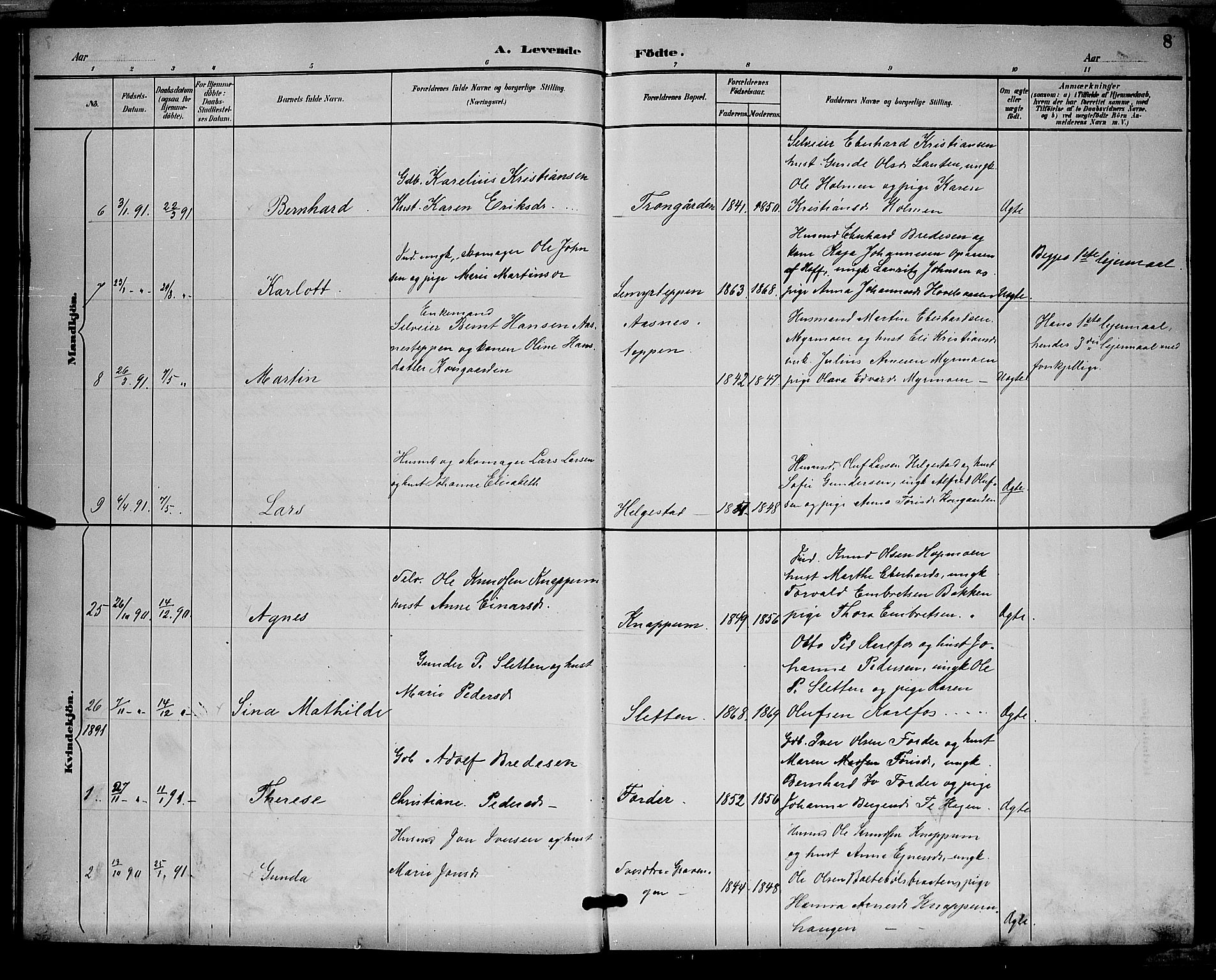 Åsnes prestekontor, SAH/PREST-042/H/Ha/Hab/L0001: Parish register (copy) no. 1, 1890-1891, p. 8