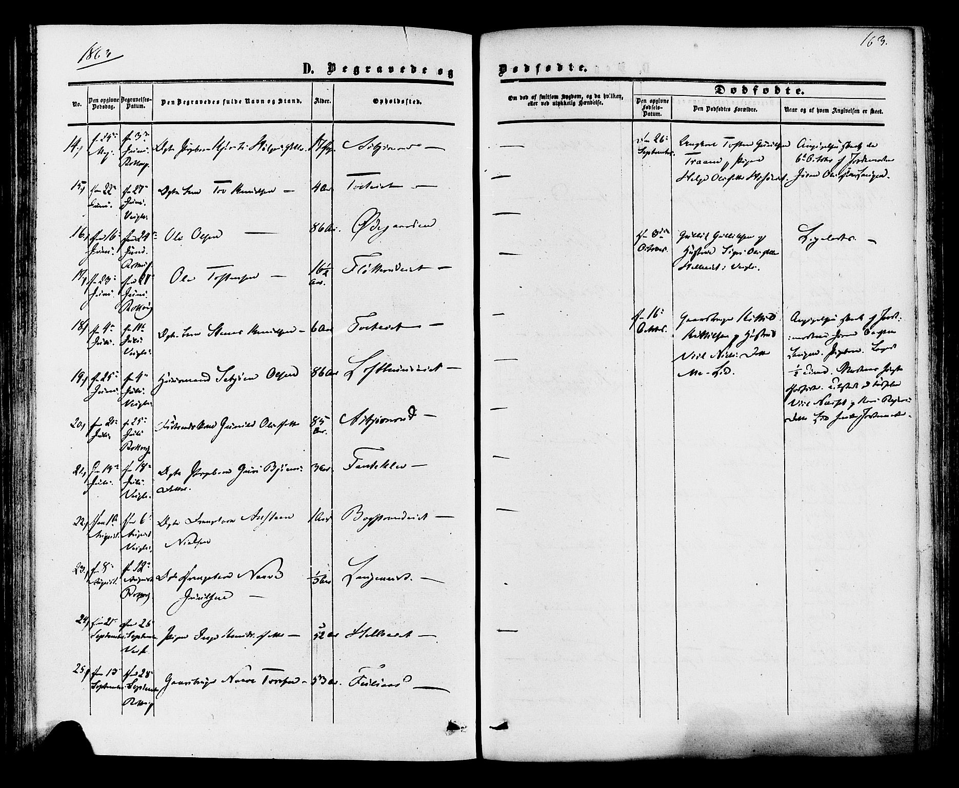 Rollag kirkebøker, AV/SAKO-A-240/F/Fa/L0009: Parish register (official) no. I 9, 1860-1874, p. 163