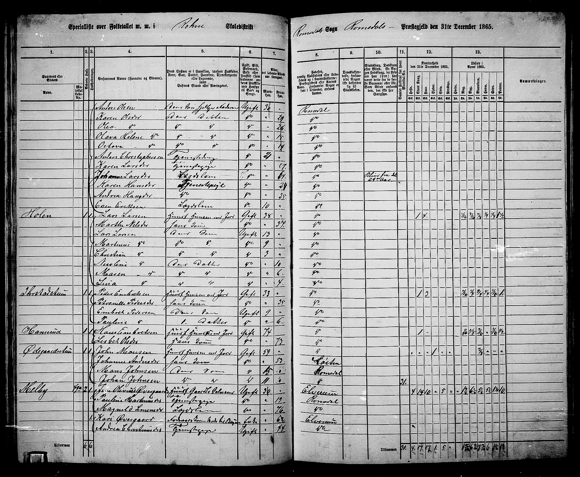 RA, 1865 census for Romedal, 1865, p. 58