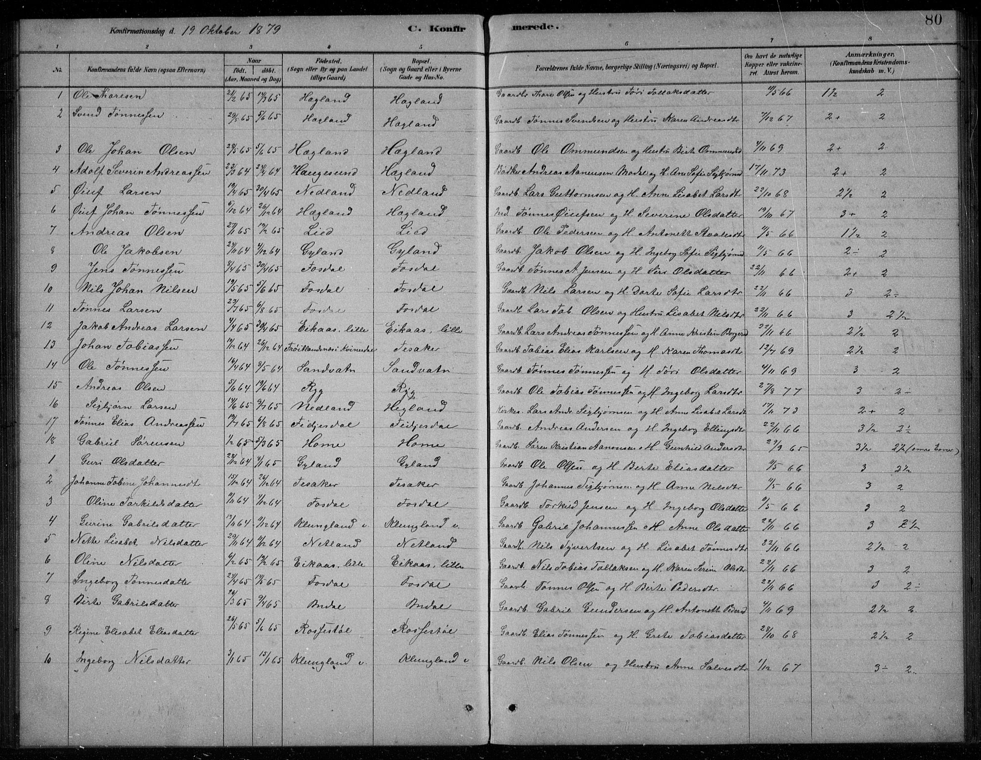 Bakke sokneprestkontor, SAK/1111-0002/F/Fb/Fbb/L0003: Parish register (copy) no. B 3, 1878-1896, p. 80
