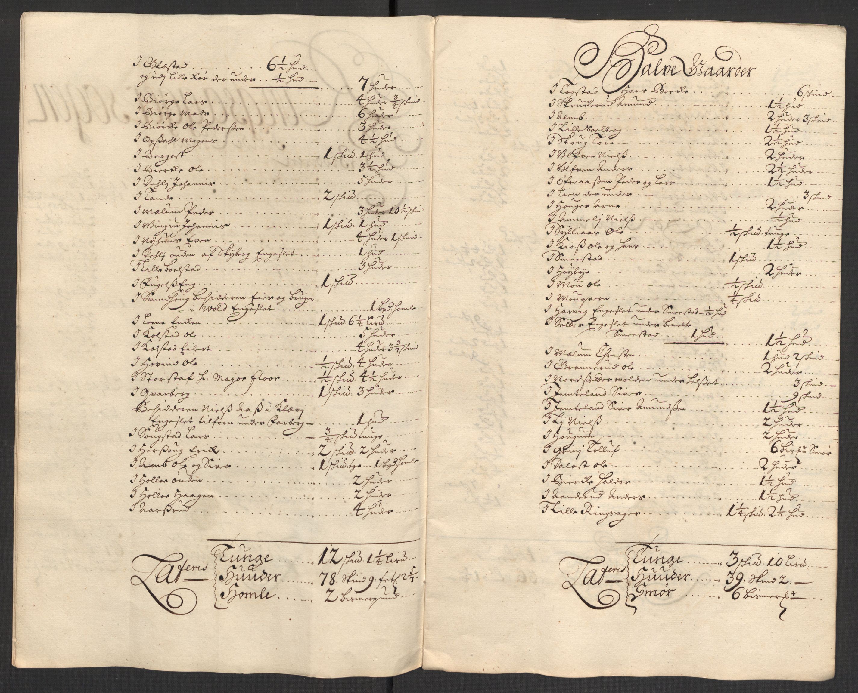 Rentekammeret inntil 1814, Reviderte regnskaper, Fogderegnskap, RA/EA-4092/R16/L1043: Fogderegnskap Hedmark, 1706-1707, p. 248