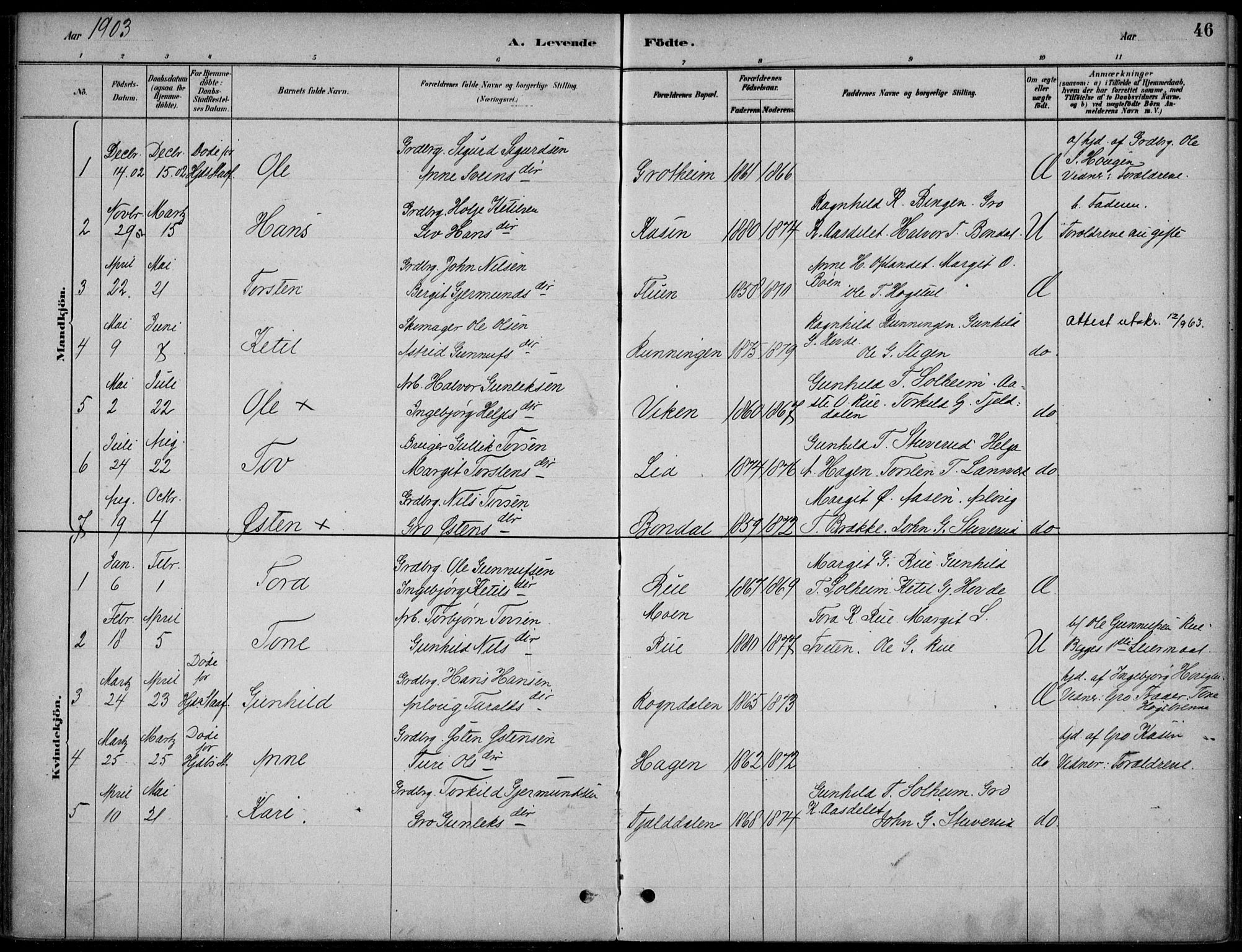 Hjartdal kirkebøker, SAKO/A-270/F/Fc/L0002: Parish register (official) no. III 2, 1880-1936, p. 46