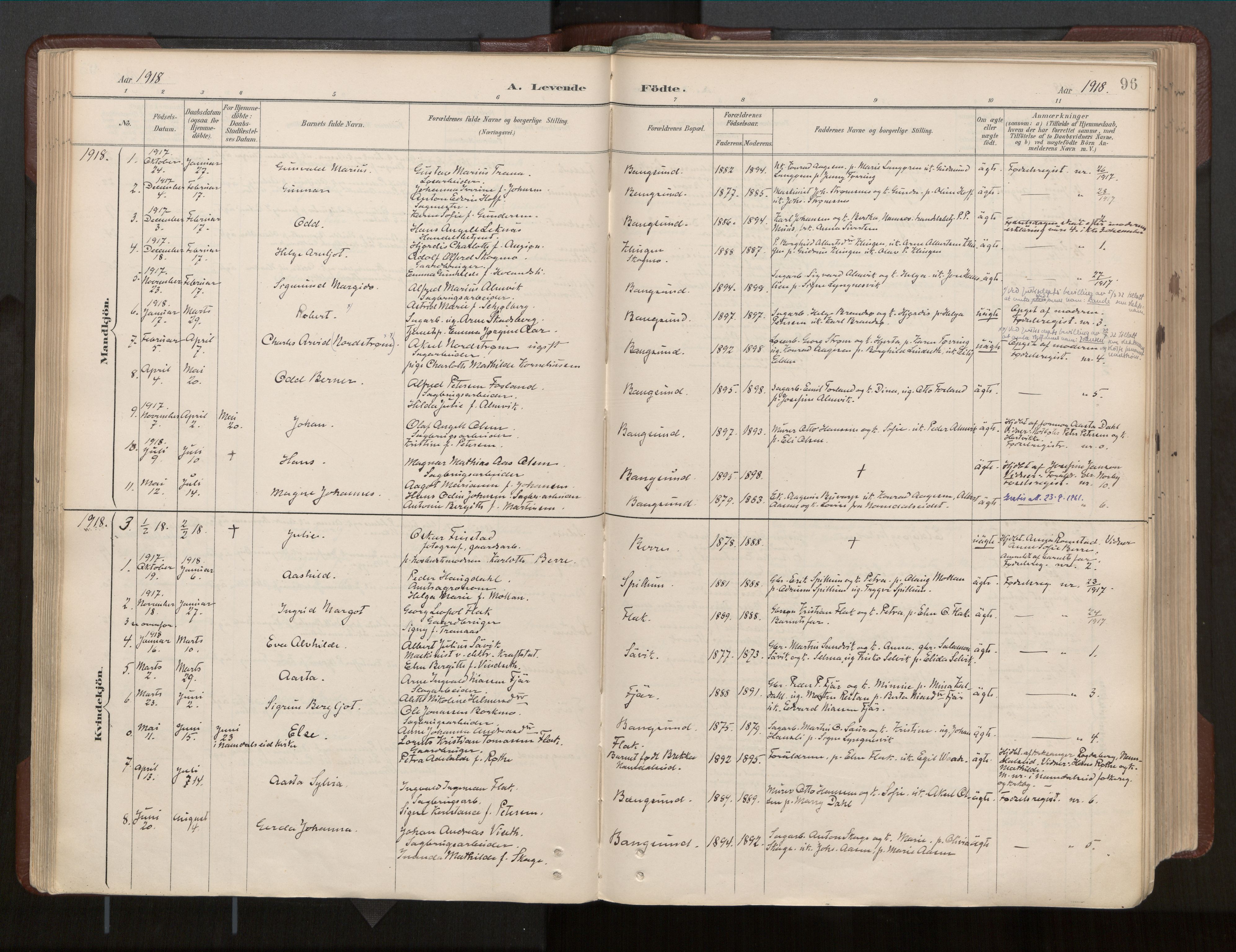 Ministerialprotokoller, klokkerbøker og fødselsregistre - Nord-Trøndelag, SAT/A-1458/770/L0589: Parish register (official) no. 770A03, 1887-1929, p. 96