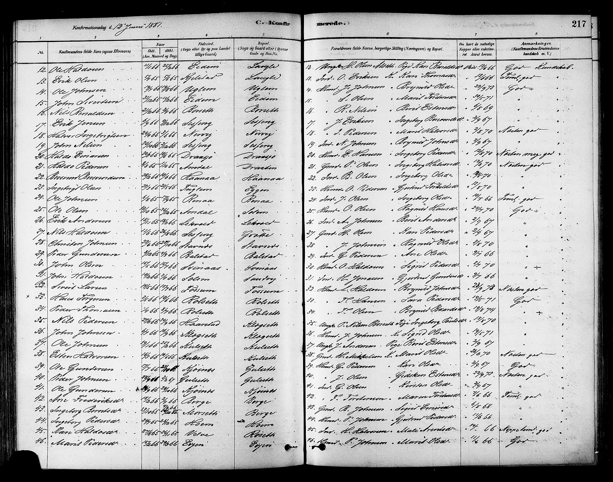Ministerialprotokoller, klokkerbøker og fødselsregistre - Sør-Trøndelag, AV/SAT-A-1456/695/L1148: Parish register (official) no. 695A08, 1878-1891, p. 217