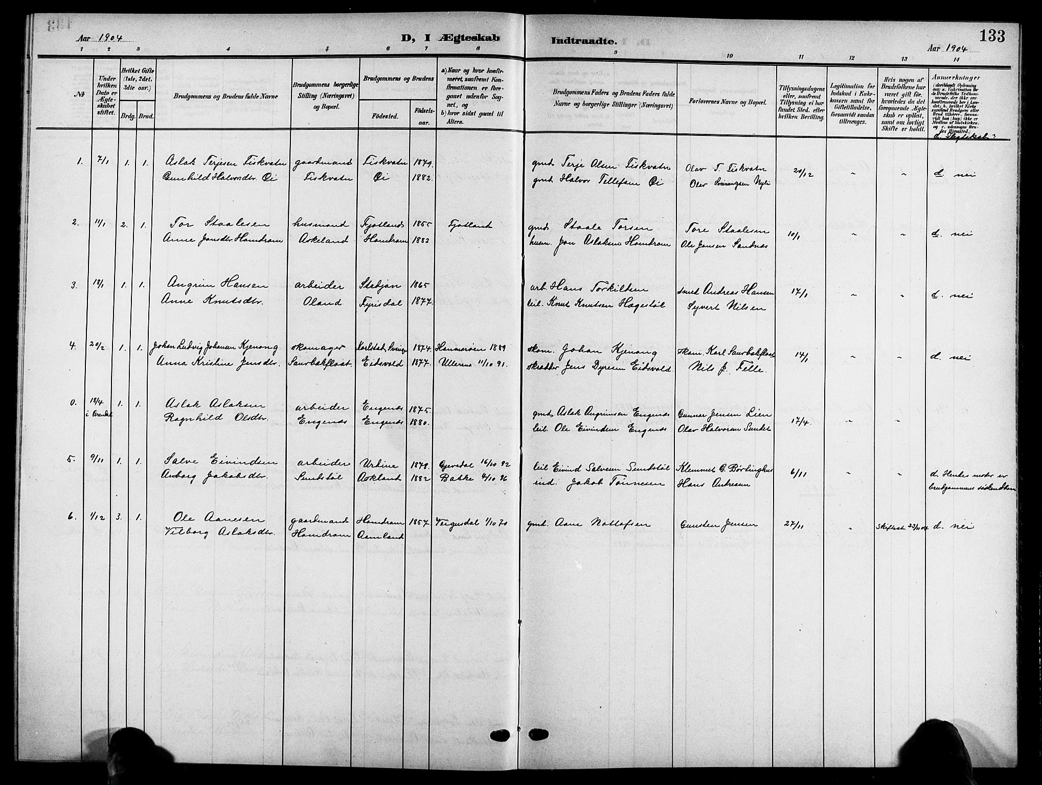 Åmli sokneprestkontor, SAK/1111-0050/F/Fb/Fbc/L0005: Parish register (copy) no. B 5, 1903-1916, p. 133