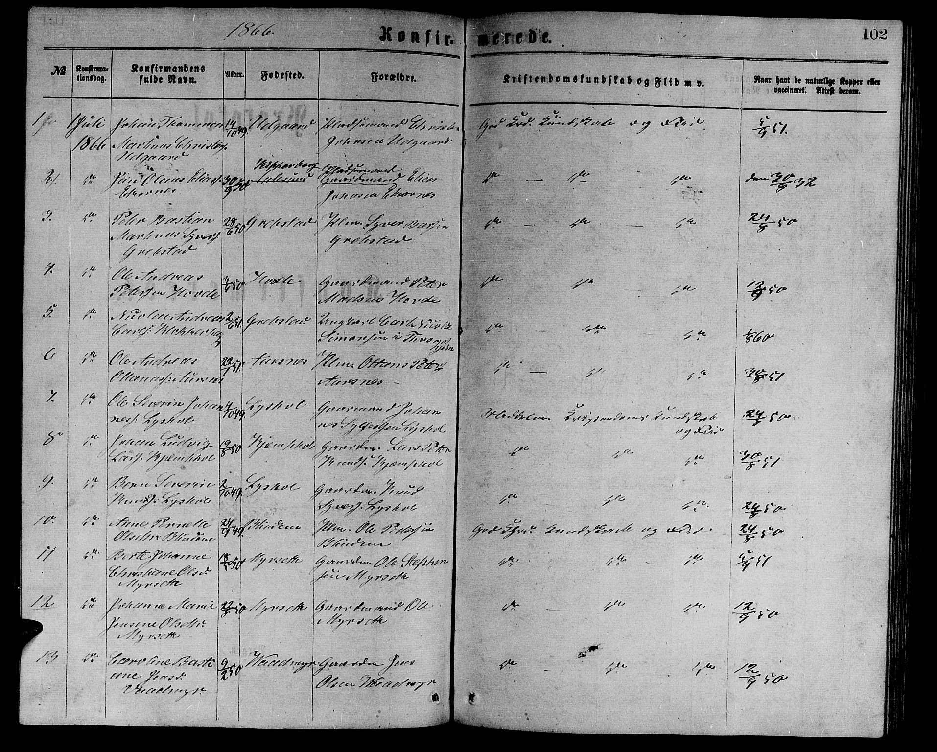 Ministerialprotokoller, klokkerbøker og fødselsregistre - Møre og Romsdal, AV/SAT-A-1454/523/L0338: Parish register (copy) no. 523C01, 1865-1877, p. 102