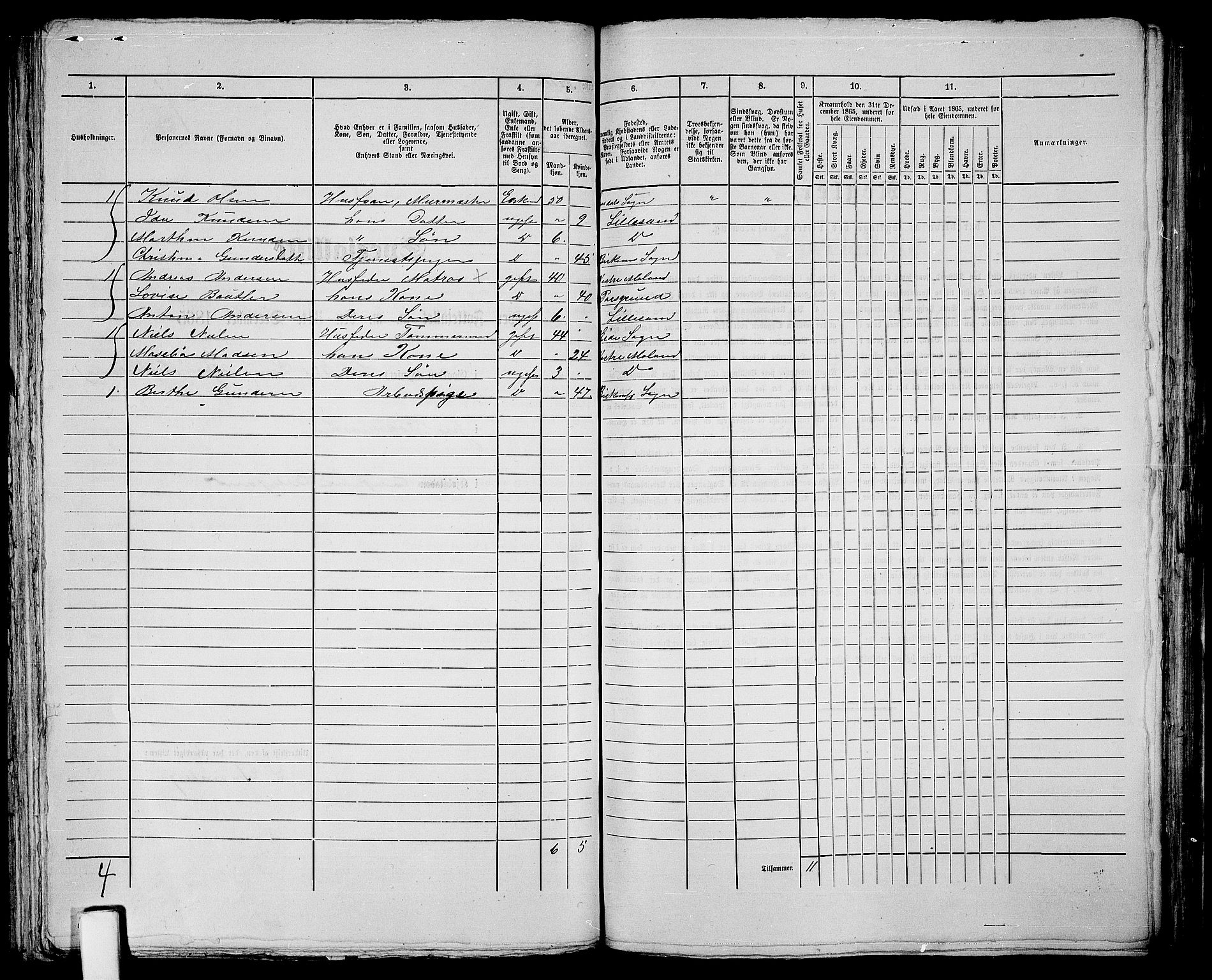 RA, 1865 census for Vestre Moland/Lillesand, 1865, p. 234