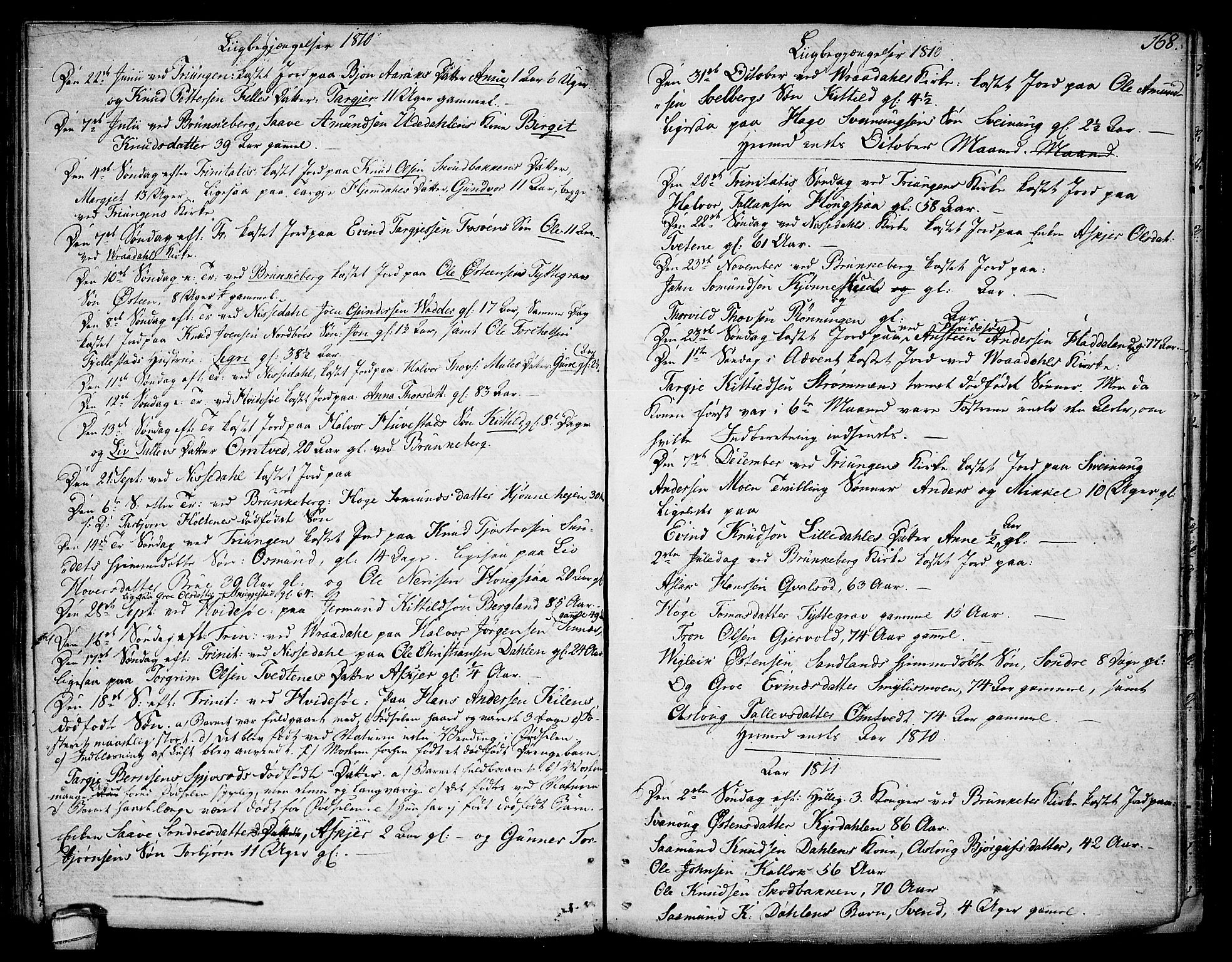 Kviteseid kirkebøker, AV/SAKO-A-276/F/Fa/L0004: Parish register (official) no. I 4, 1800-1814, p. 168