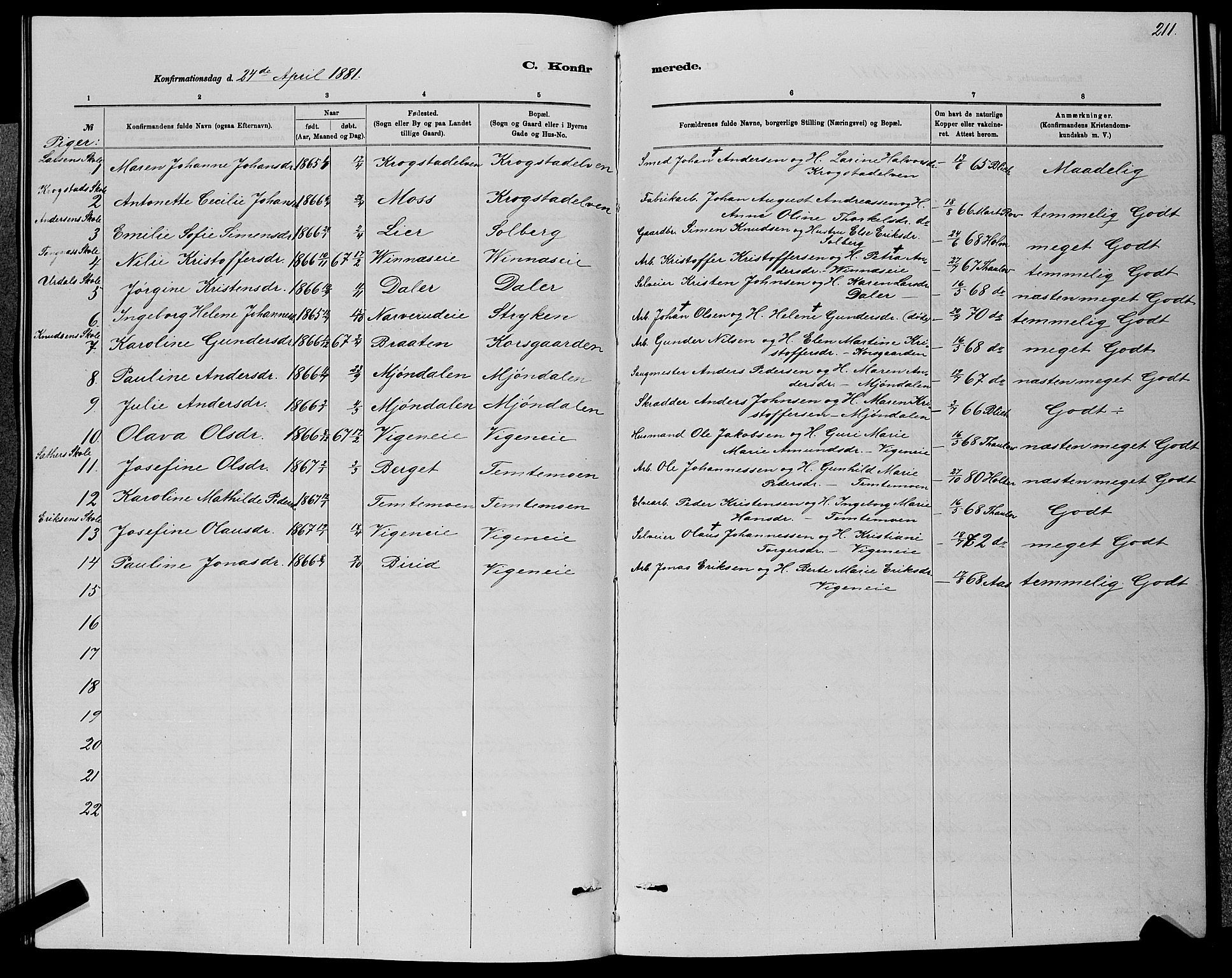 Nedre Eiker kirkebøker, AV/SAKO-A-612/G/Ga/L0002: Parish register (copy) no. 2, 1880-1896, p. 211