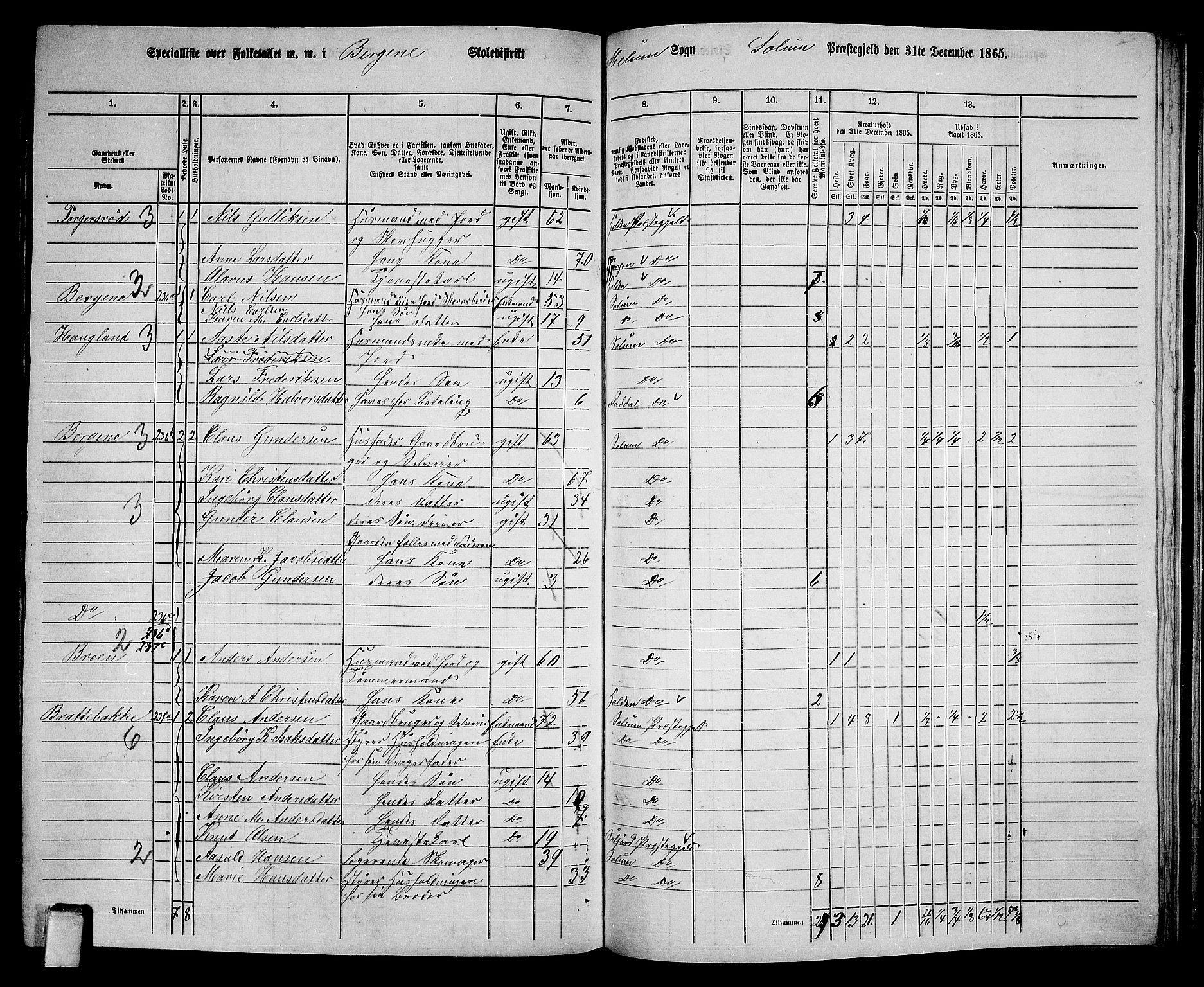 RA, 1865 census for Solum, 1865, p. 187